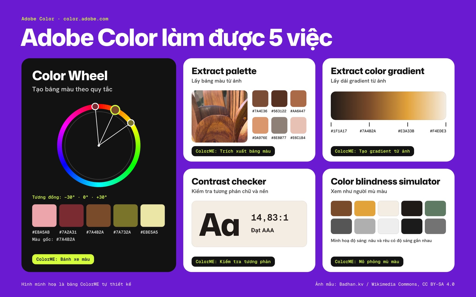 Adobe Color làm được gì: bánh xe màu, lấy màu từ ảnh, gradient, kiểm tra tương phản, mù màu
