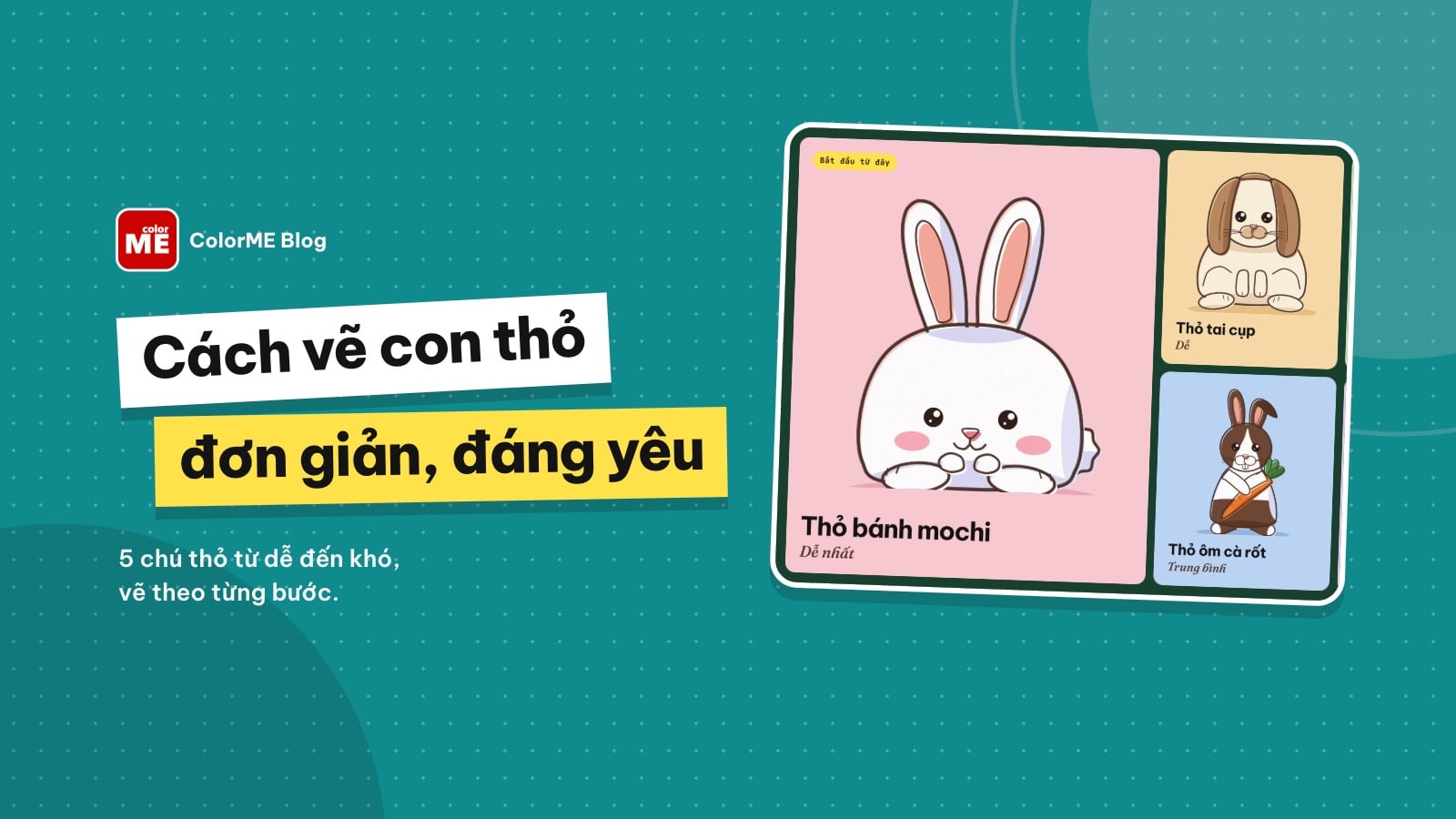 Cách vẽ con thỏ đơn giản, đáng yêu cho bé và người mới