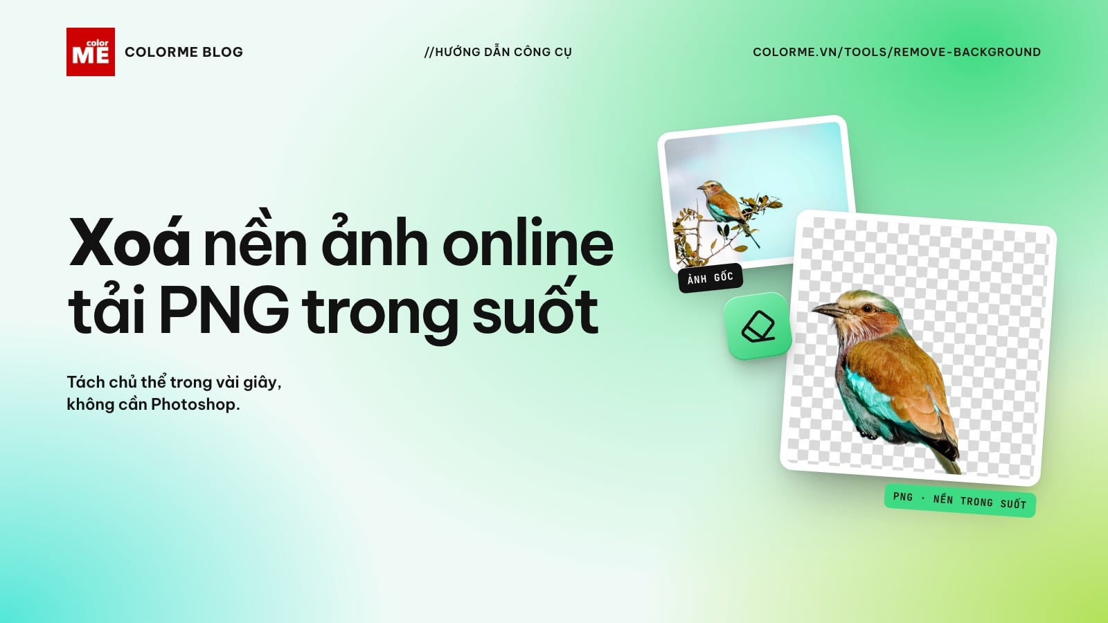 Cách xoá nền ảnh online miễn phí, tải PNG nền trong suốt (không cần Photoshop)