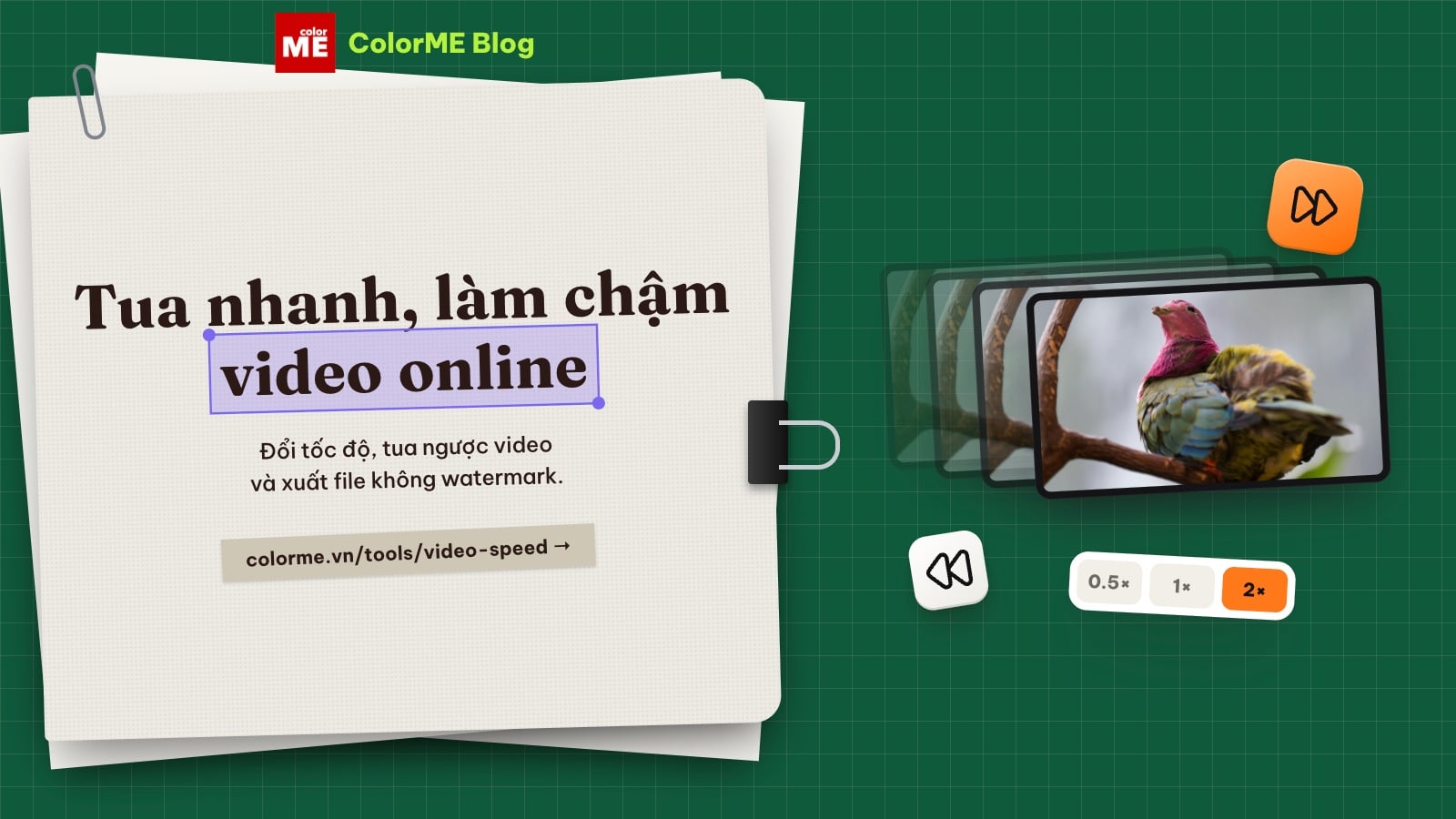 Tua nhanh, làm chậm, tua ngược video online không watermark
