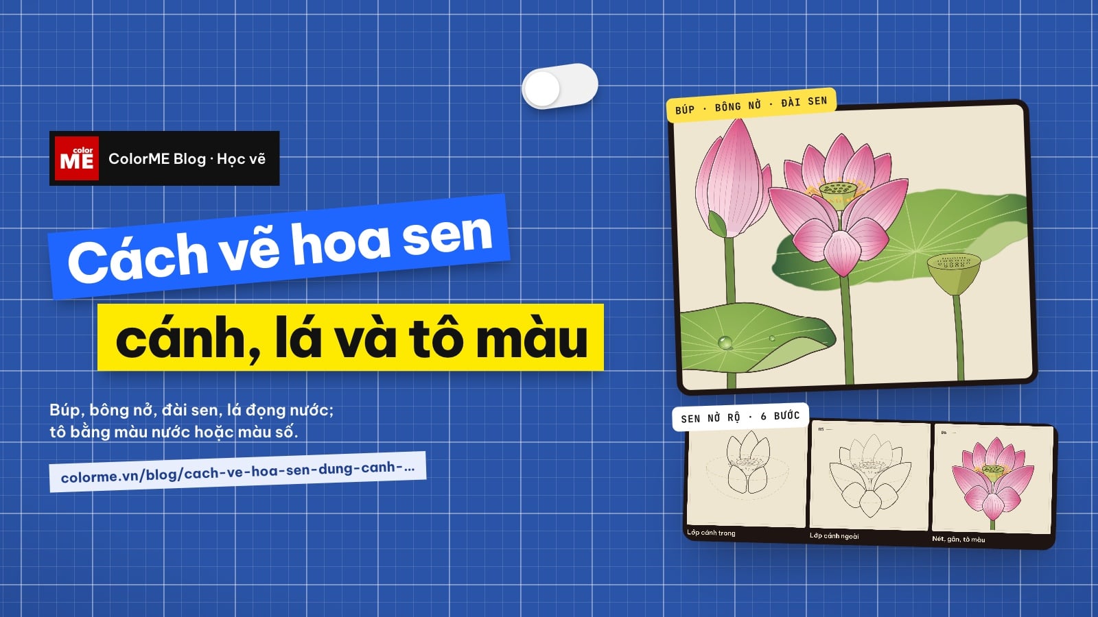 Cách vẽ hoa sen: dựng cánh, lá và tô màu nước, màu số