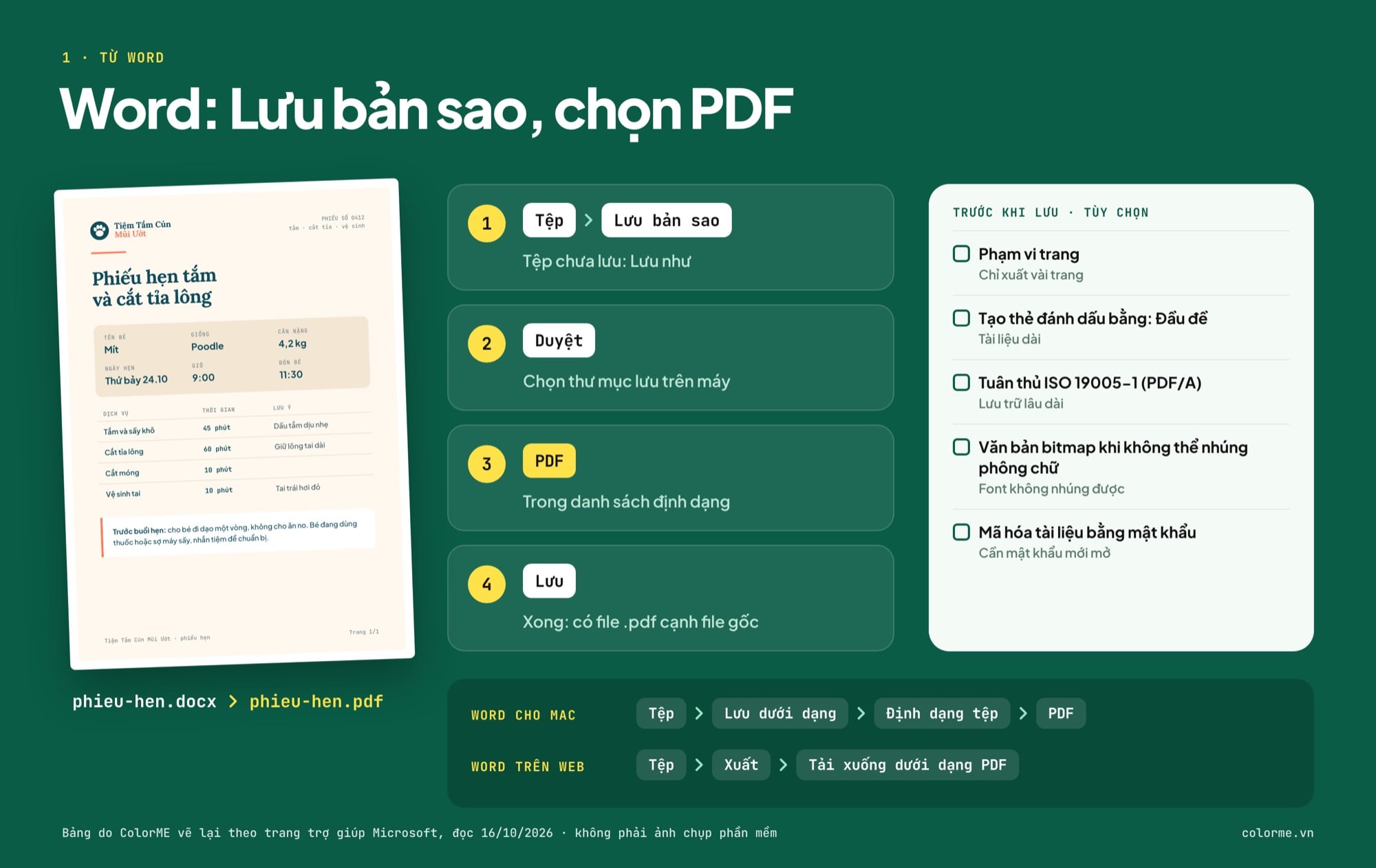 Các bước lưu file Word thành PDF