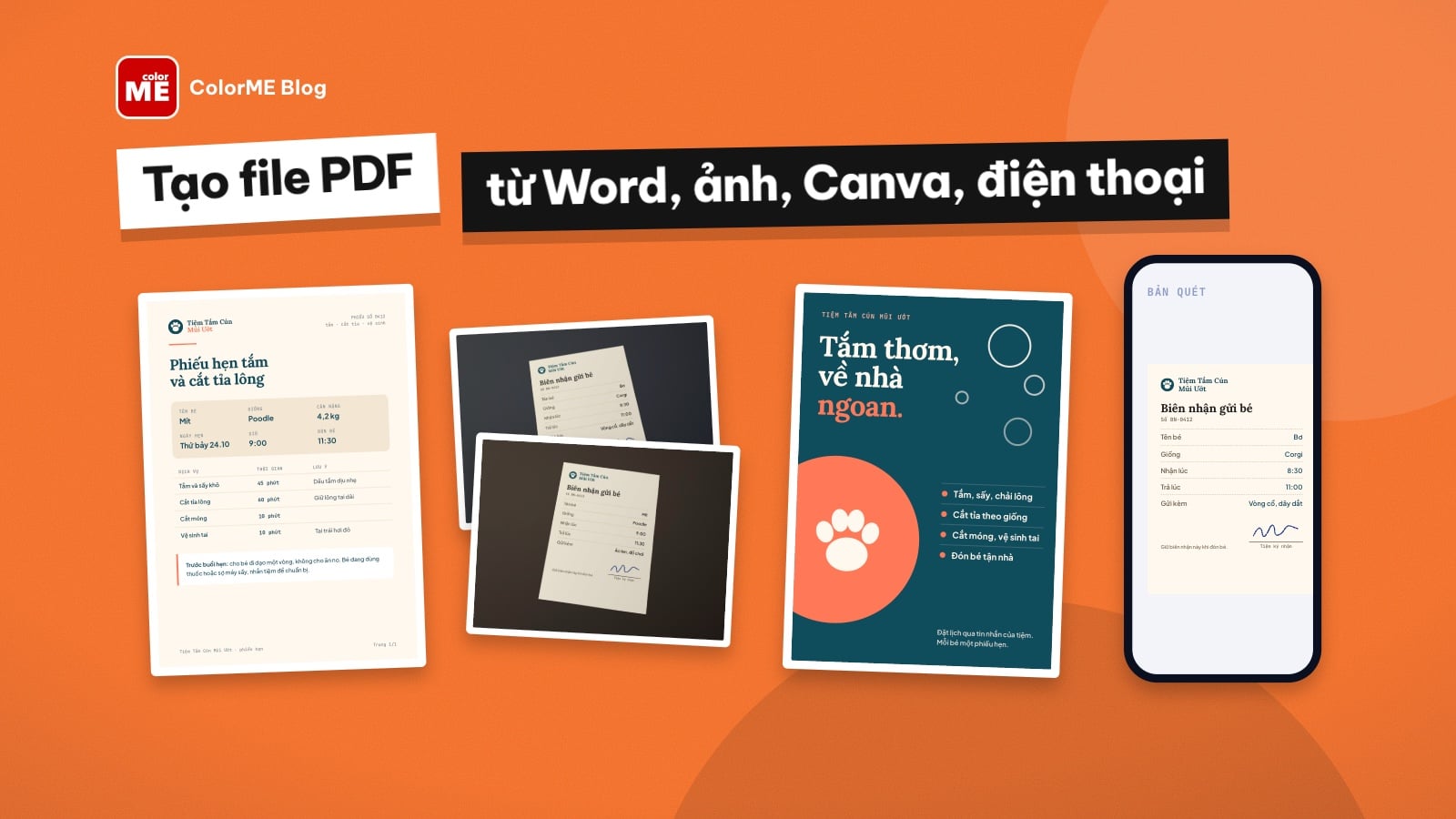 Cách tạo file PDF từ Word, ảnh, Canva và điện thoại