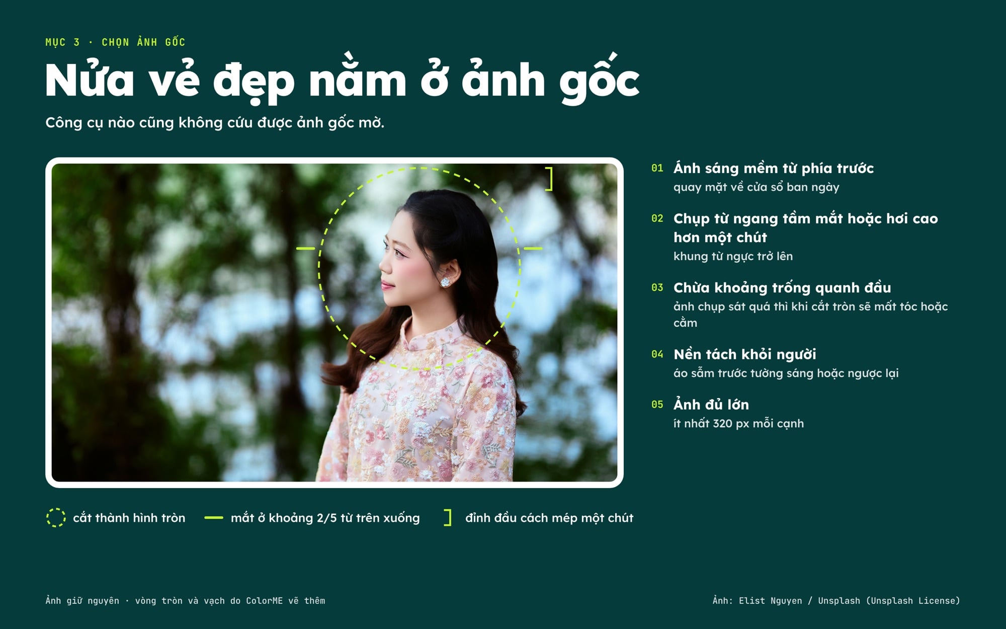 Ảnh gốc để làm avatar với vòng tròn cắt và vạch mắt ở khoảng 2/5