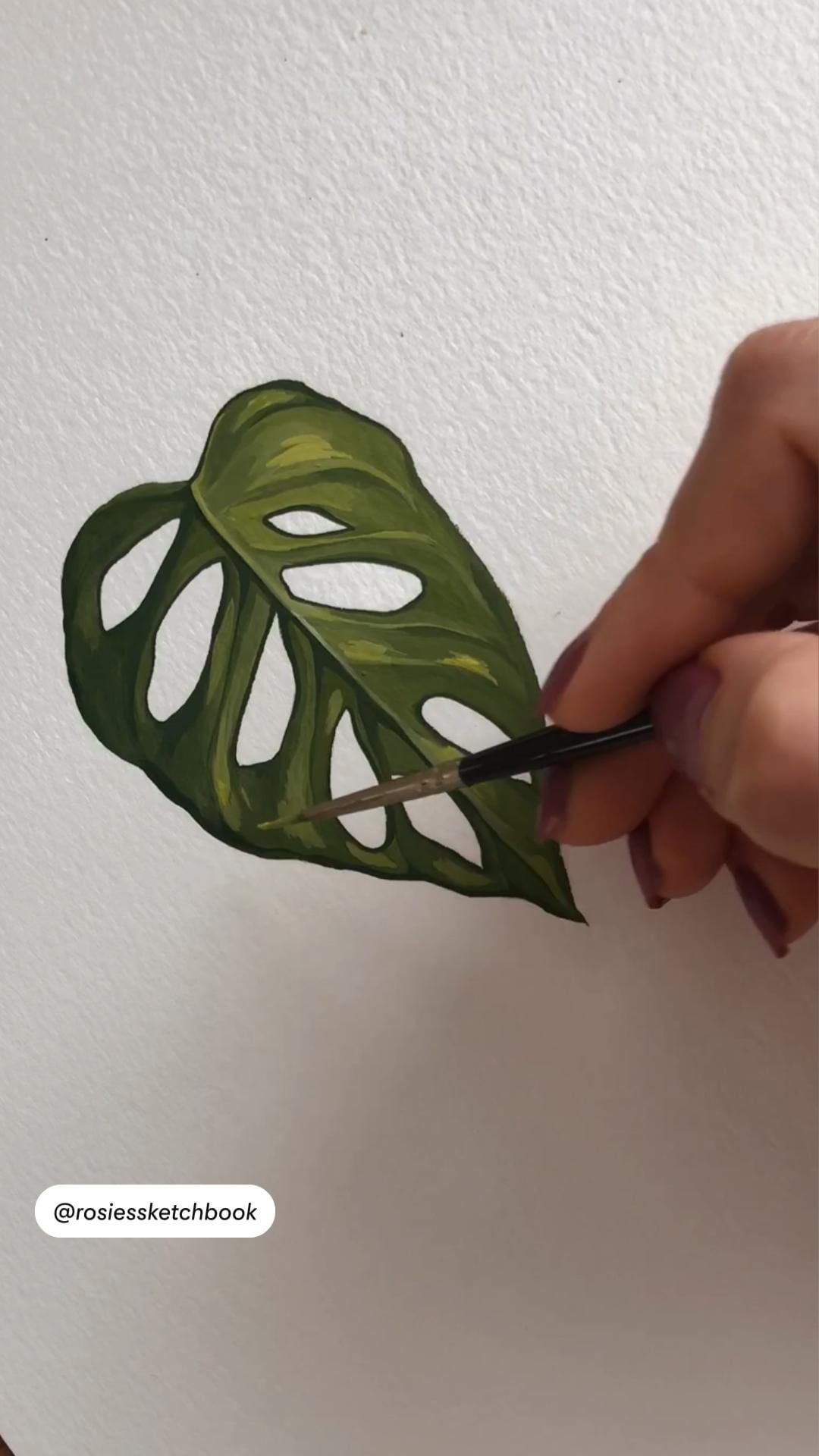 Chiếc lá monstera có các lỗ tròn được tô hai sắc xanh trên giấy trắng