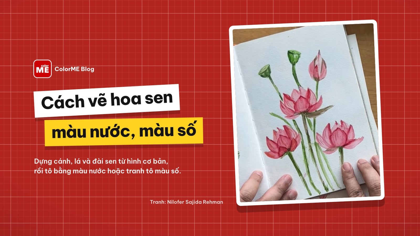 Cách vẽ hoa sen: dựng cánh, lá và tô màu nước, màu số