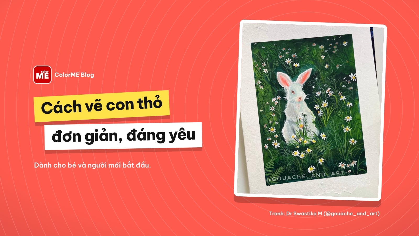 Cách vẽ con thỏ đơn giản, đáng yêu cho bé và người mới