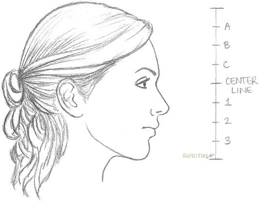 Phác chì một khuôn mặt nhìn nghiêng, bên cạnh là thước chia vị trí mắt, mũi, miệng