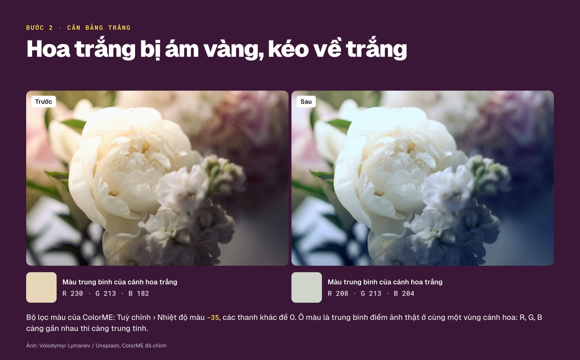 Cân bằng trắng ảnh hoa mẫu đơn trắng, trước và sau