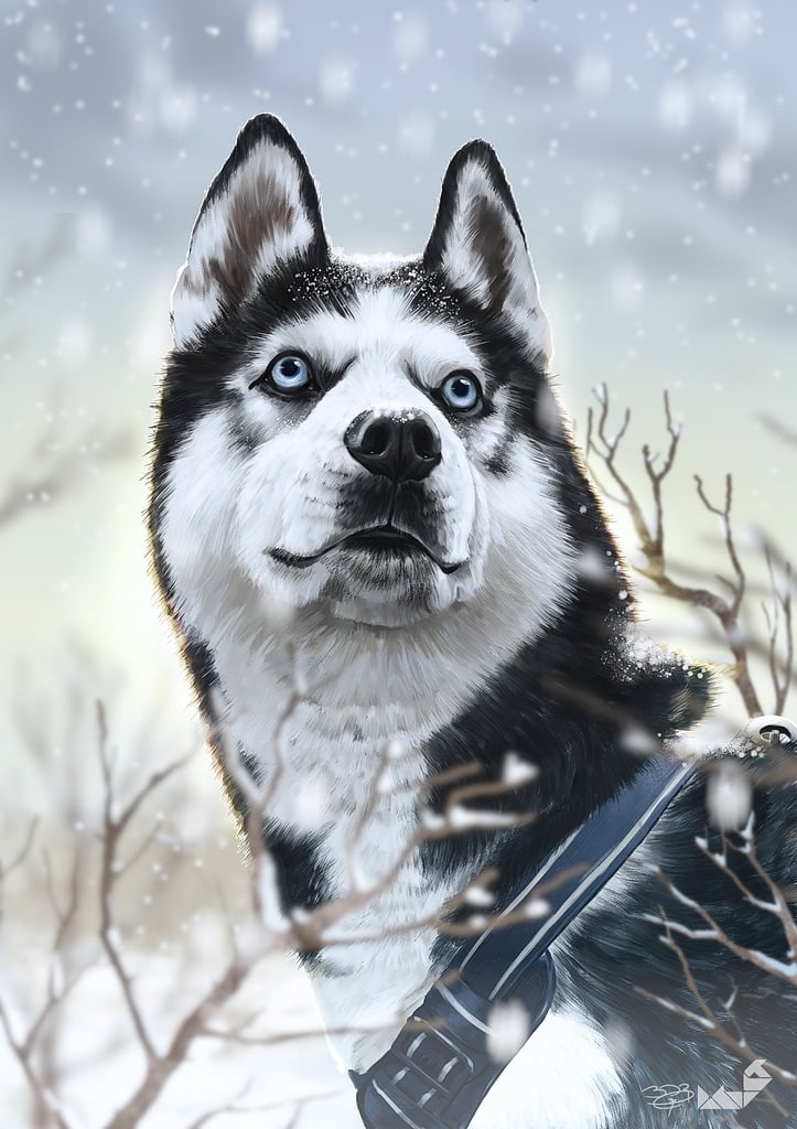 Chân dung chó husky mắt xanh giữa tuyết rơi, vẽ bằng Krita