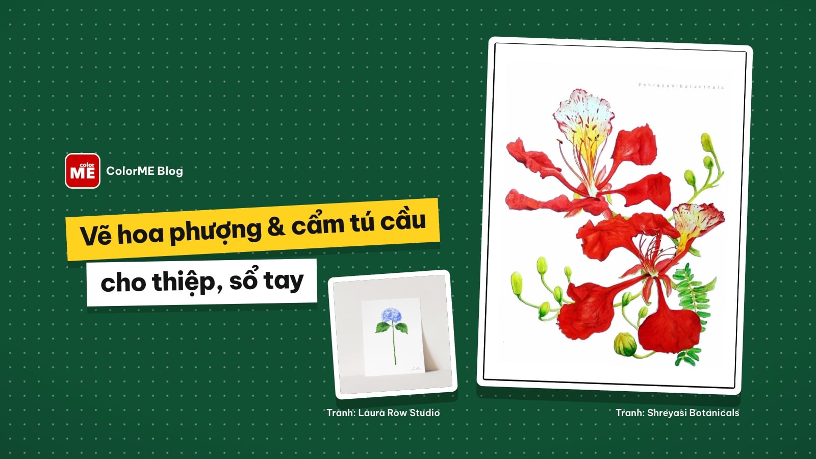 Cách vẽ hoa phượng, hoa cẩm tú cầu cho thiệp và sổ tay