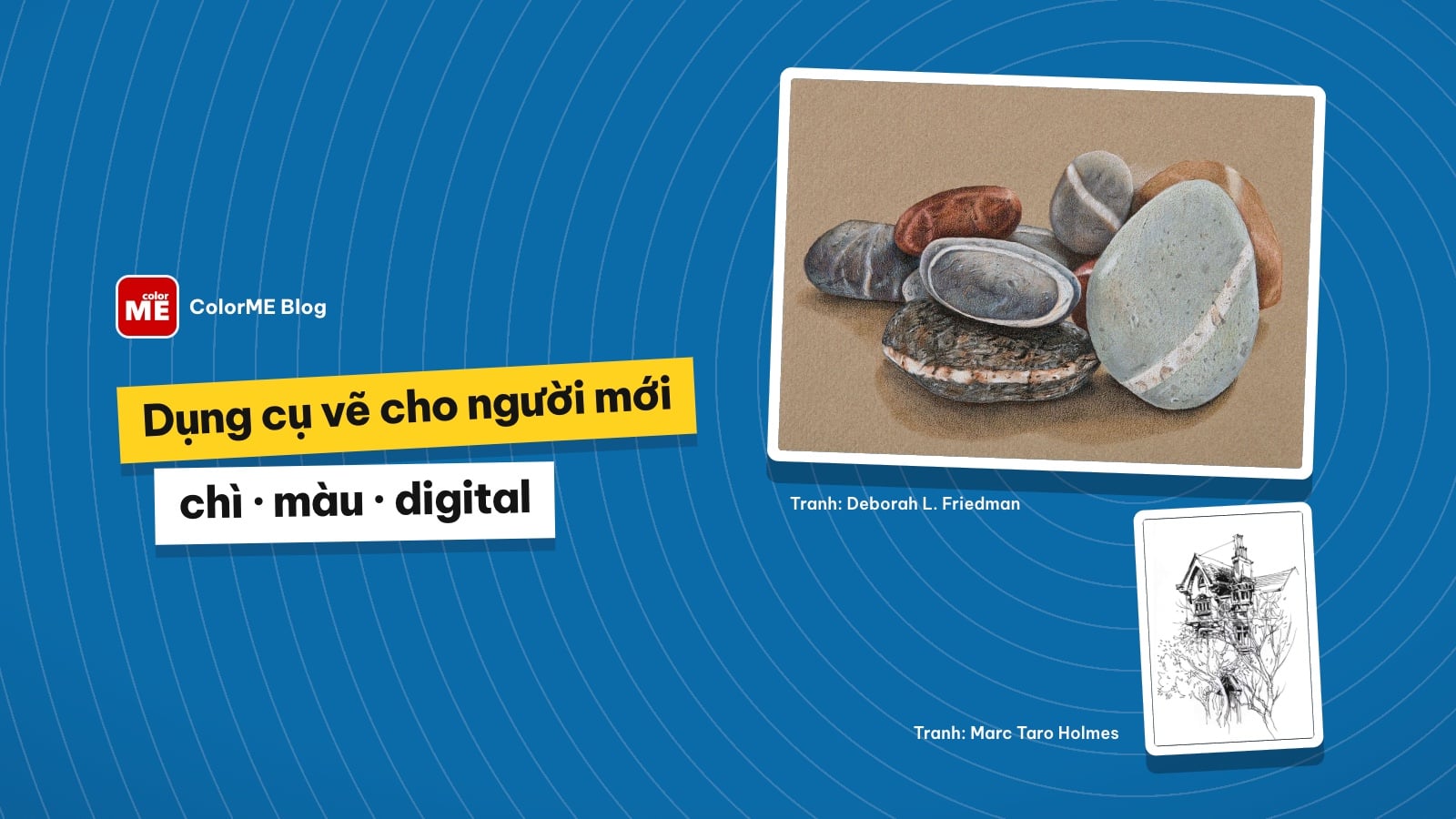 Dụng cụ vẽ cho người mới: cần mua gì để học vẽ chì, màu, digital