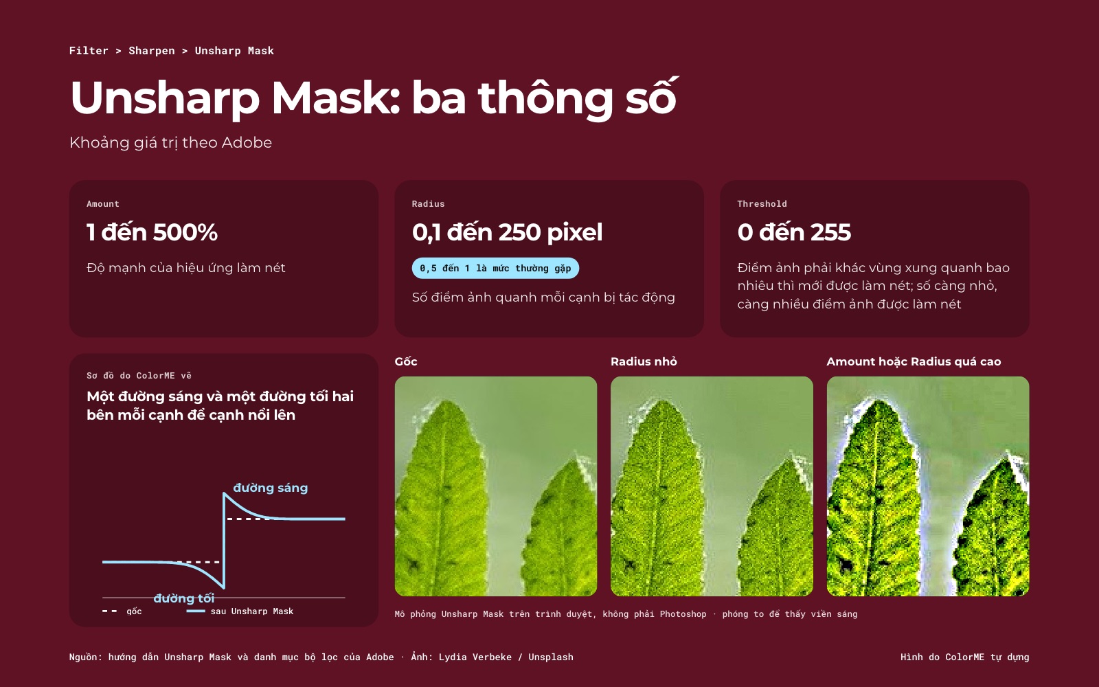 Ba thông số Unsharp Mask với khoảng giá trị, sơ đồ đường sáng và đường tối hai bên một cạnh, và ba ảnh lá so ảnh gốc, làm nét vừa và viền sáng khi Radius quá cao