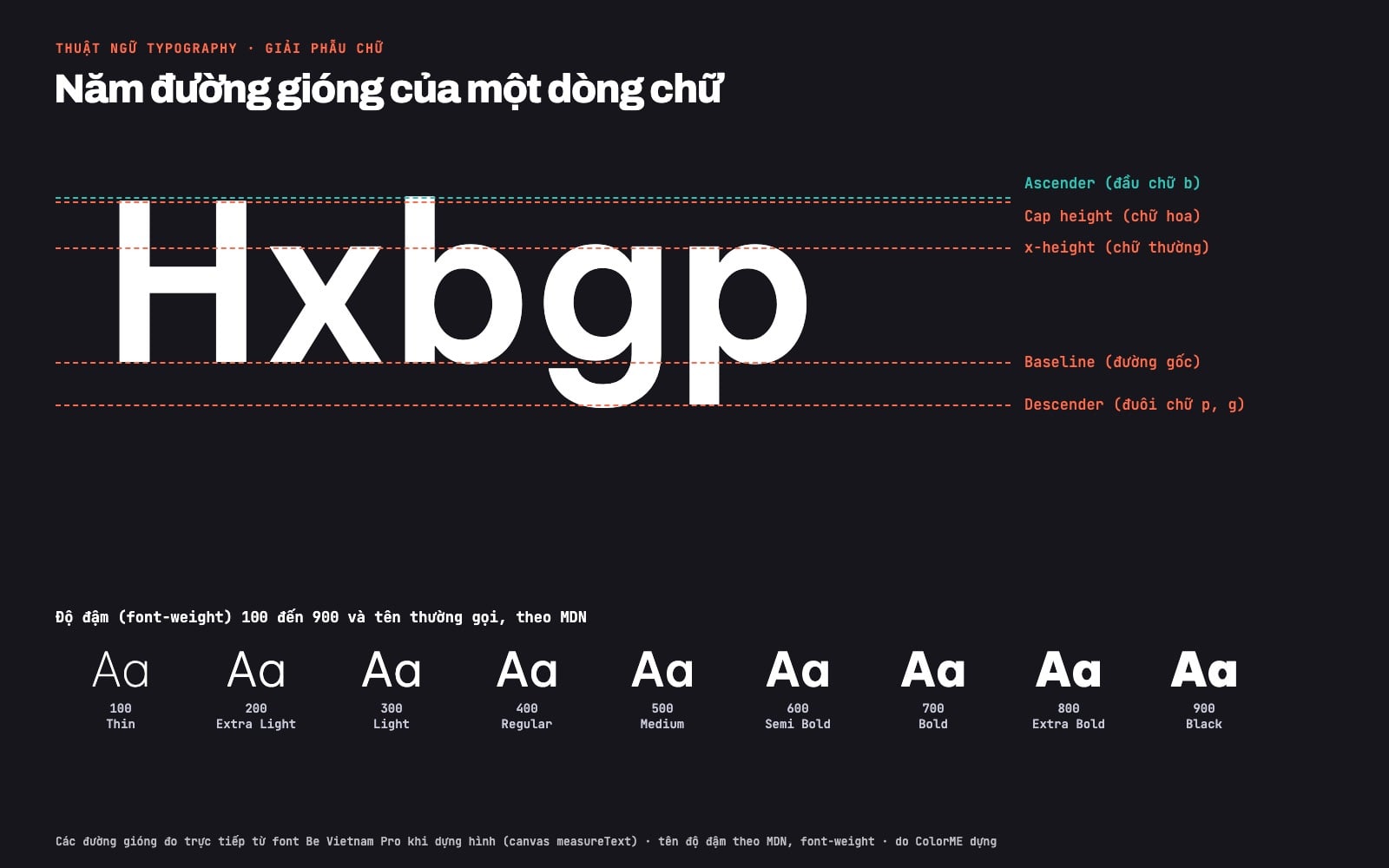 Giải phẫu chữ Hxbgp với năm đường gióng: ascender, cap height, x-height, baseline, descender; bên dưới là chín độ đậm 100 Thin đến 900 Black