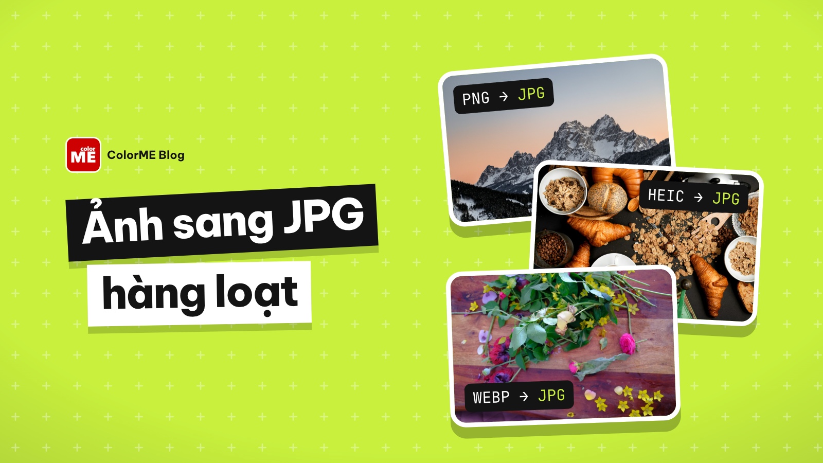 Chuyển ảnh sang JPG online miễn phí: đổi PNG, HEIC, WebP sang JPG hàng loạt