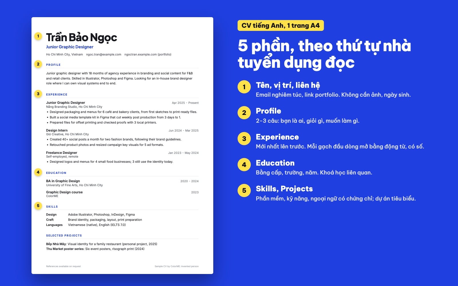 Cấu trúc CV tiếng Anh 5 phần: liên hệ, Profile, Experience, Education, Skills