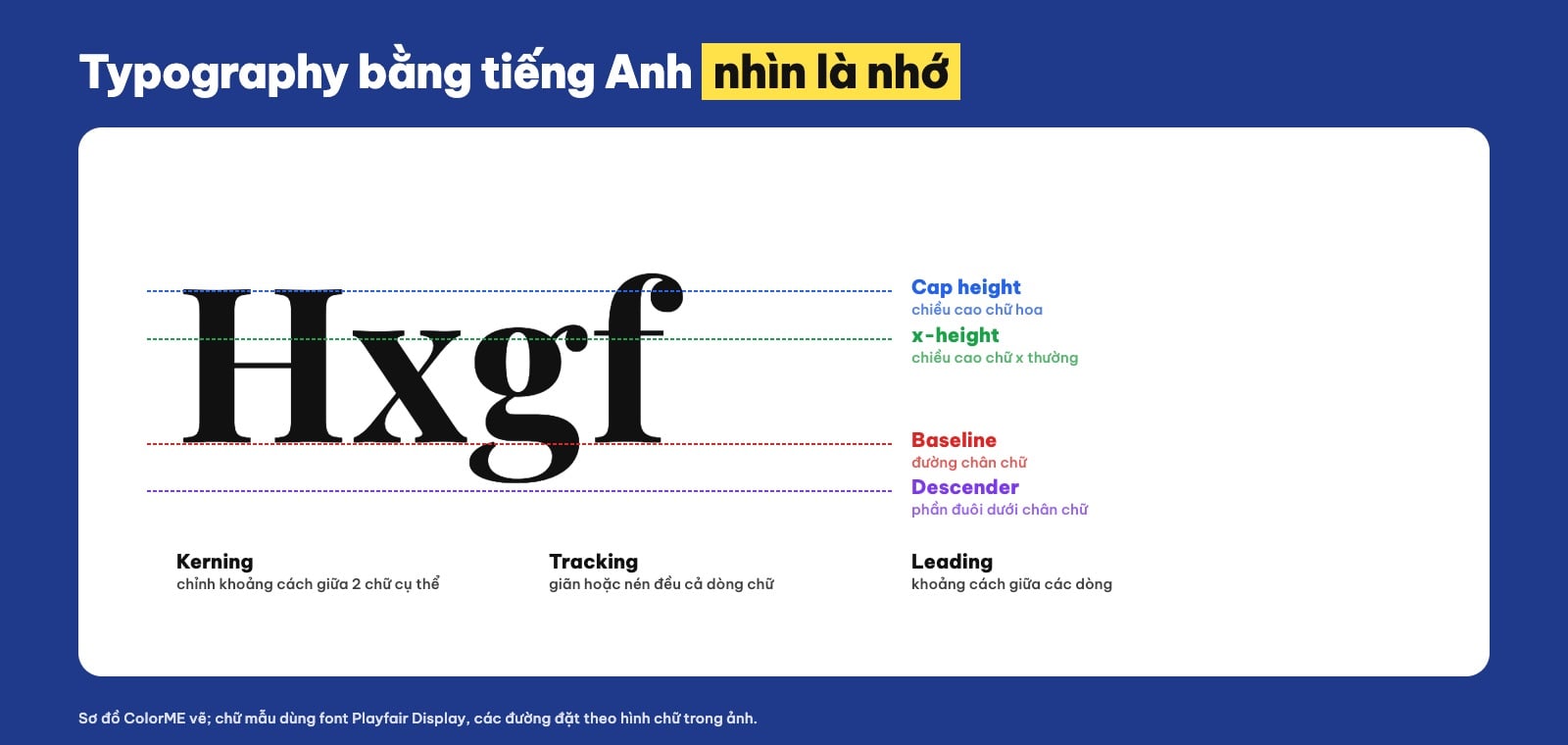 Từ vựng typography tiếng Anh cho designer