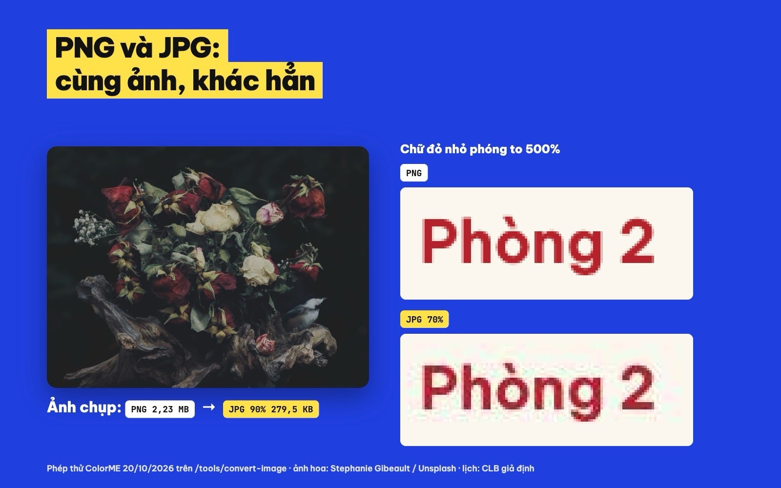 So sánh PNG và JPG: dung lượng ảnh chụp và chữ nhỏ phóng to