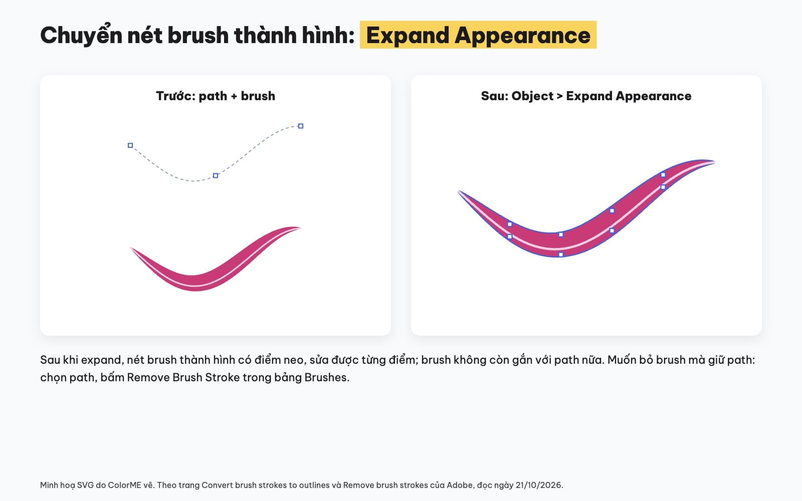 Expand Appearance chuyển brush thành hình trong Illustrator