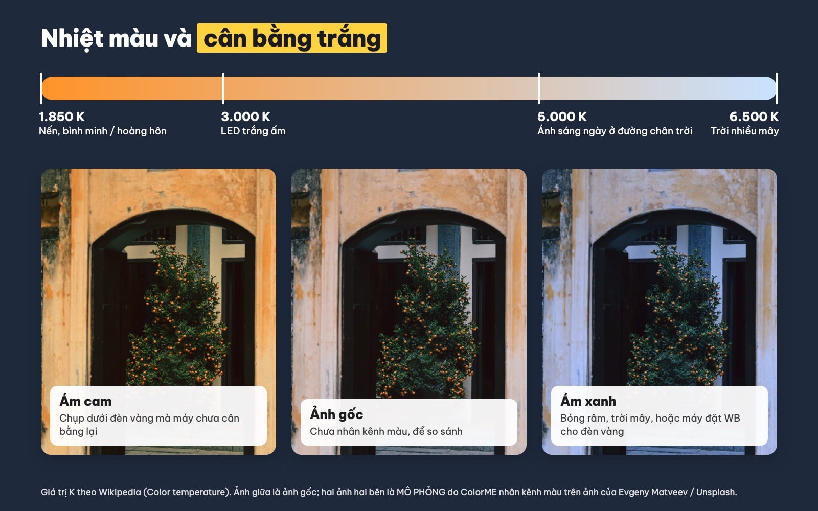 Thang nhiệt màu Kelvin và ba phiên bản màu của cùng một ảnh chậu quất