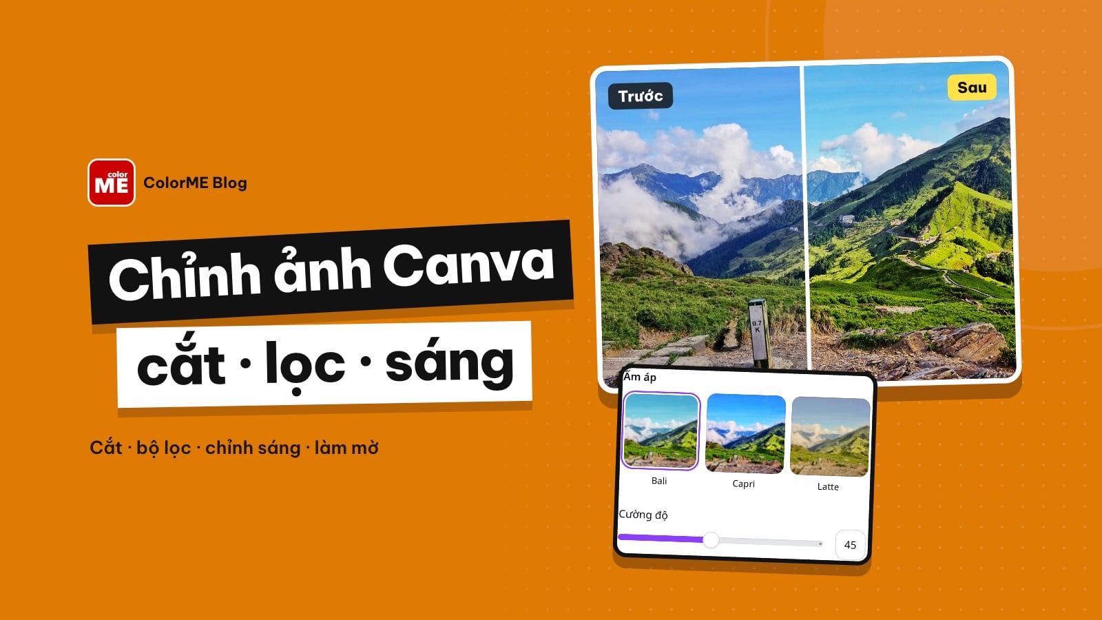 Cách chỉnh sửa ảnh trên Canva: cắt, bộ lọc, chỉnh sáng, làm mờ