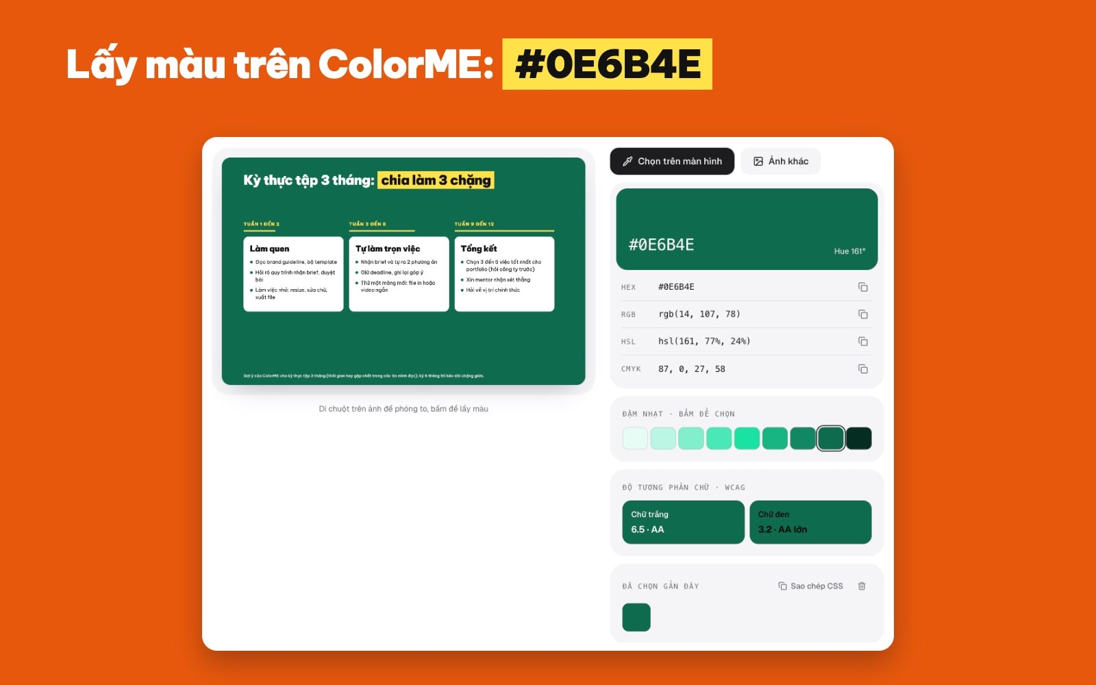 Công cụ lấy màu ColorME trả về mã màu 0E6B4E