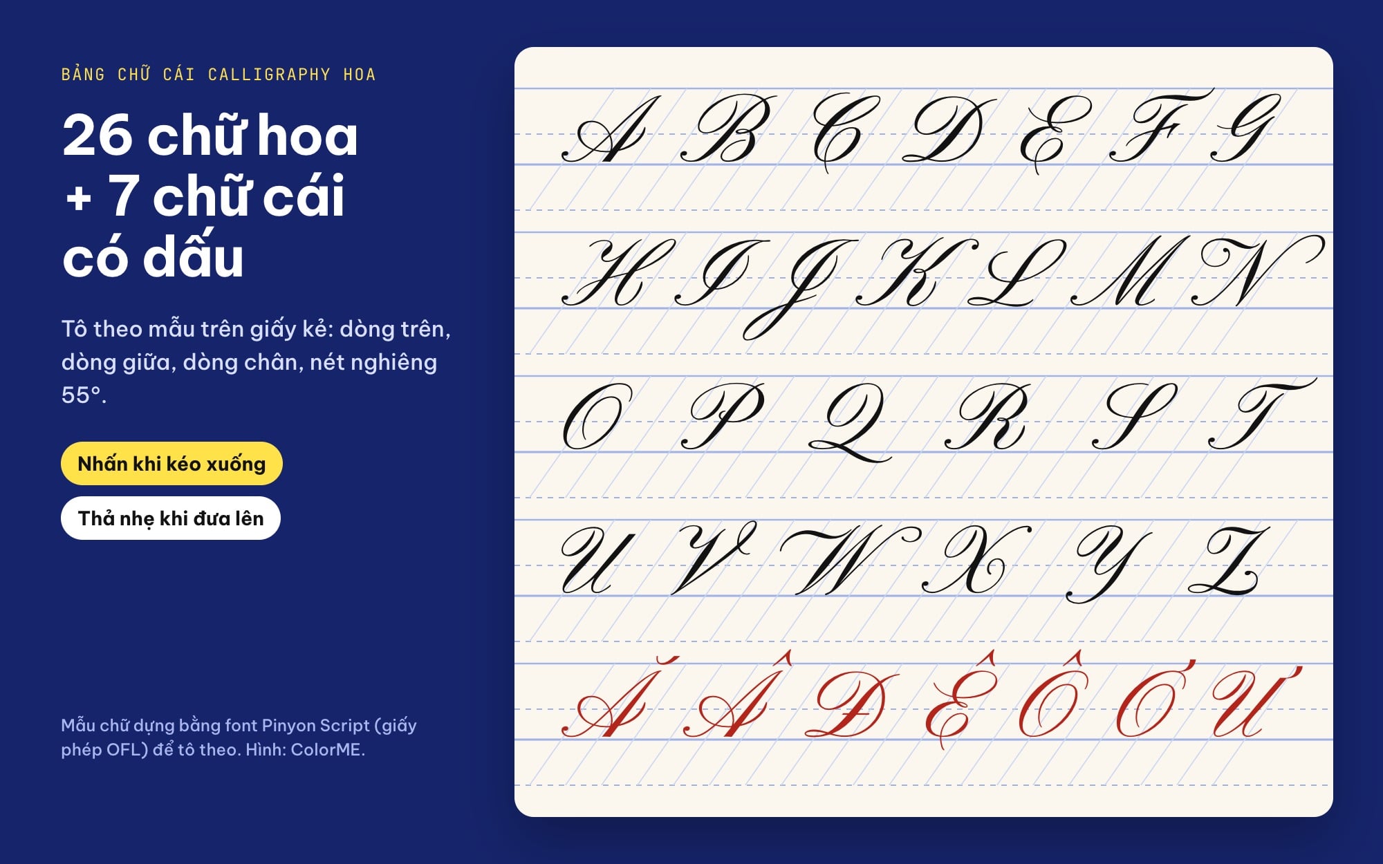 Bảng chữ cái calligraphy hoa A đến Z và 7 chữ cái có dấu tiếng Việt trên giấy kẻ nghiêng 55 độ