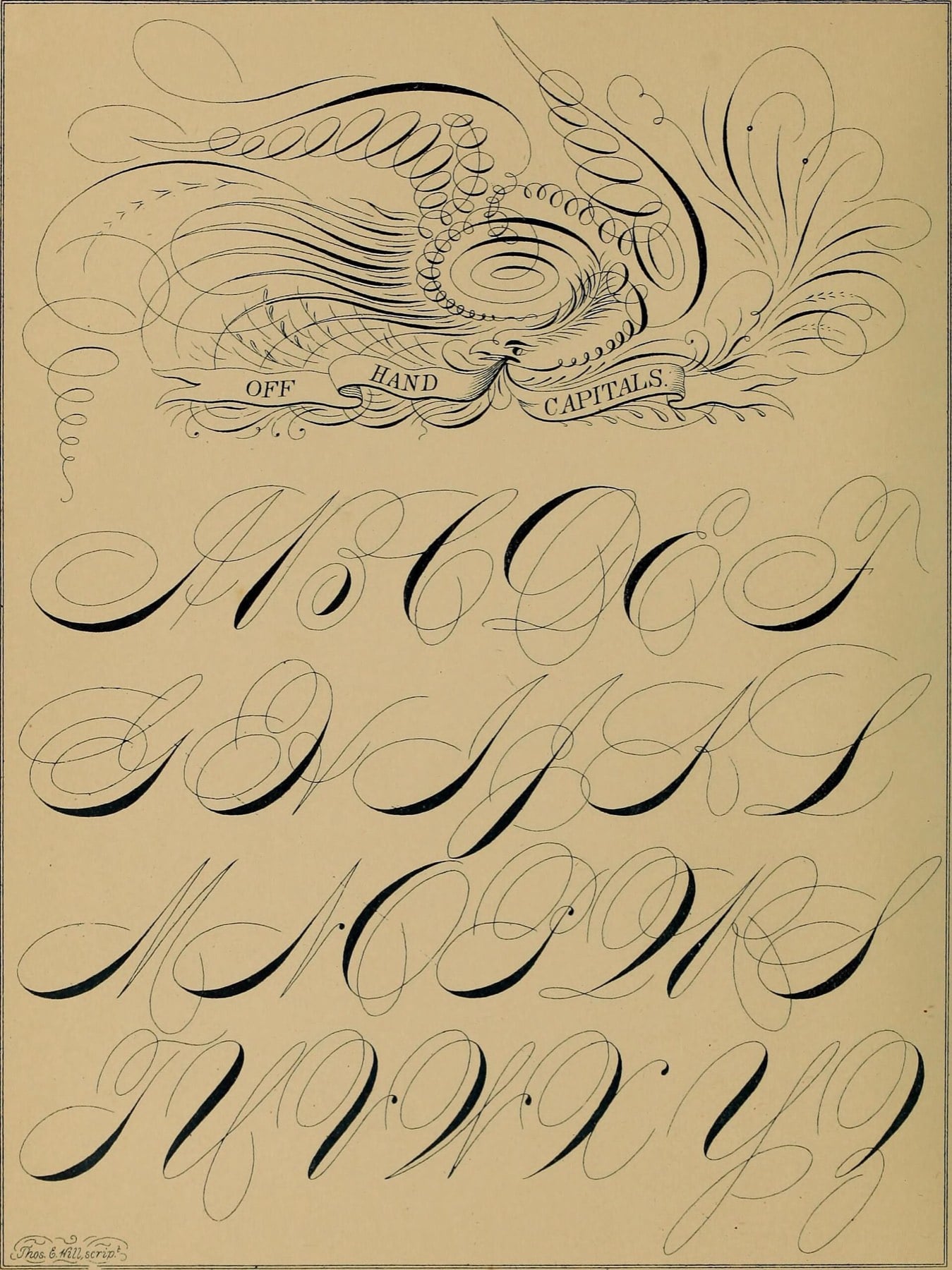 Bảng chữ hoa Spencerian Off hand capitals trong Hill's Manual năm 1881