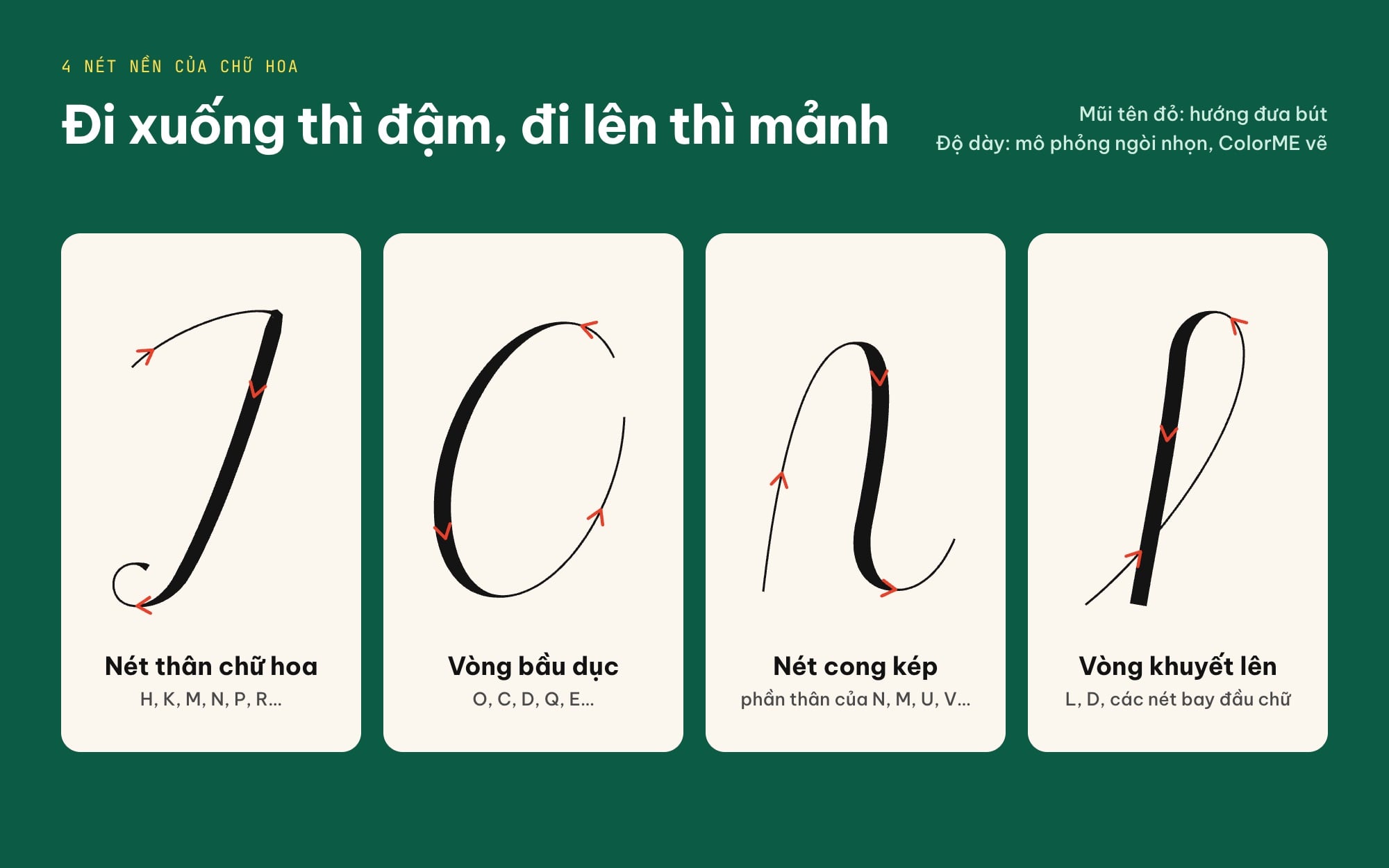 Bốn nét nền của chữ hoa calligraphy: nét thân, vòng bầu dục, nét cong kép, vòng khuyết lên, đậm khi kéo xuống và mảnh khi đưa lên