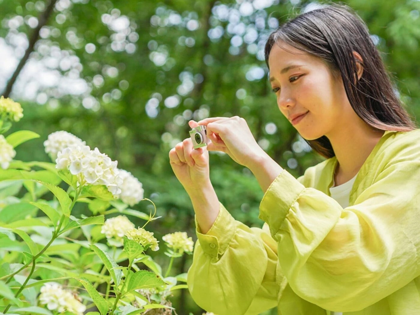 Một cô gái trẻ mặc áo màu vàng chanh đứng giữa vườn cây xanh, cúi xuống cầm chiếc máy ảnh tí hon chụp chùm hoa trắng