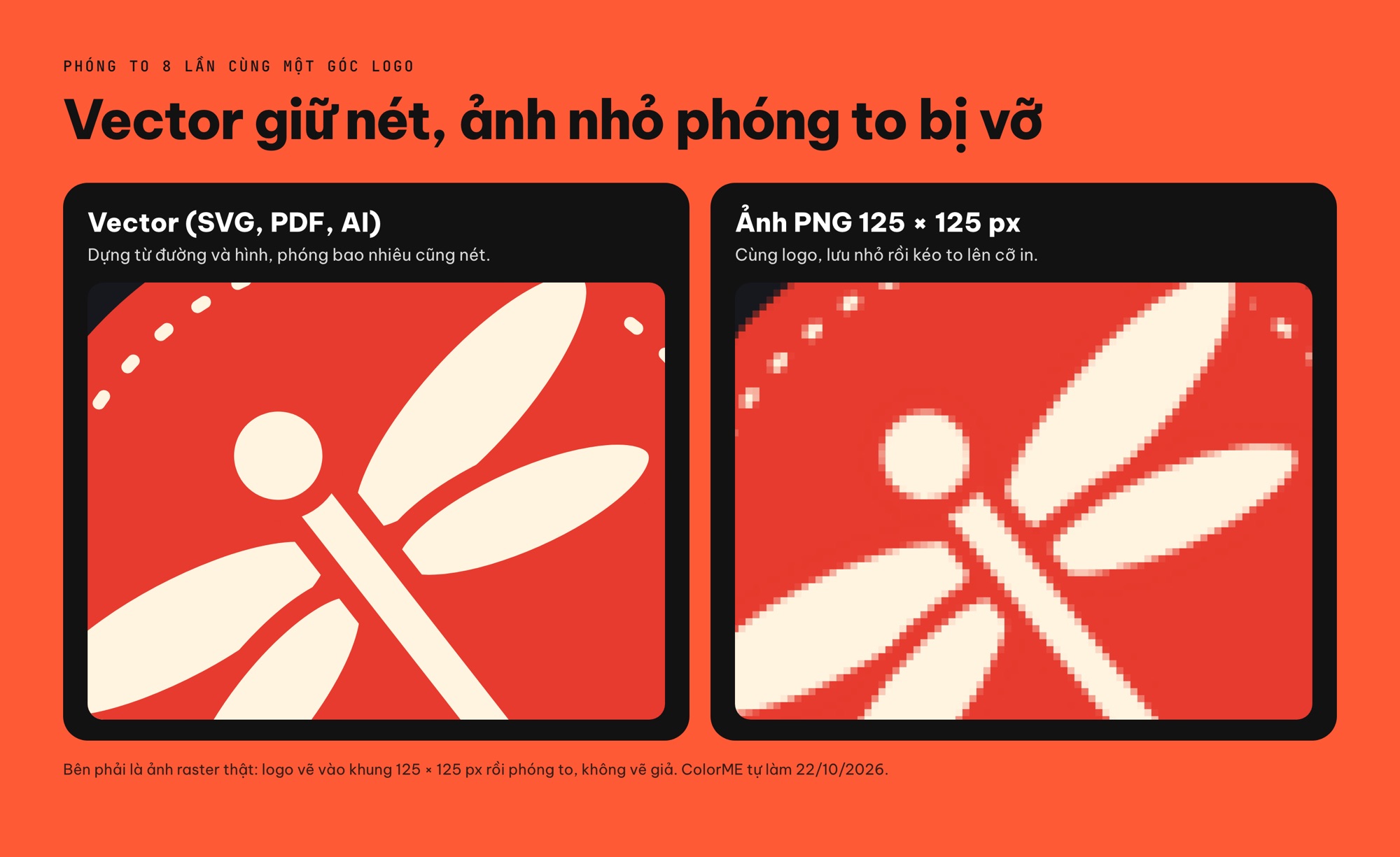 Logo vector và logo PNG phóng to khi in áo