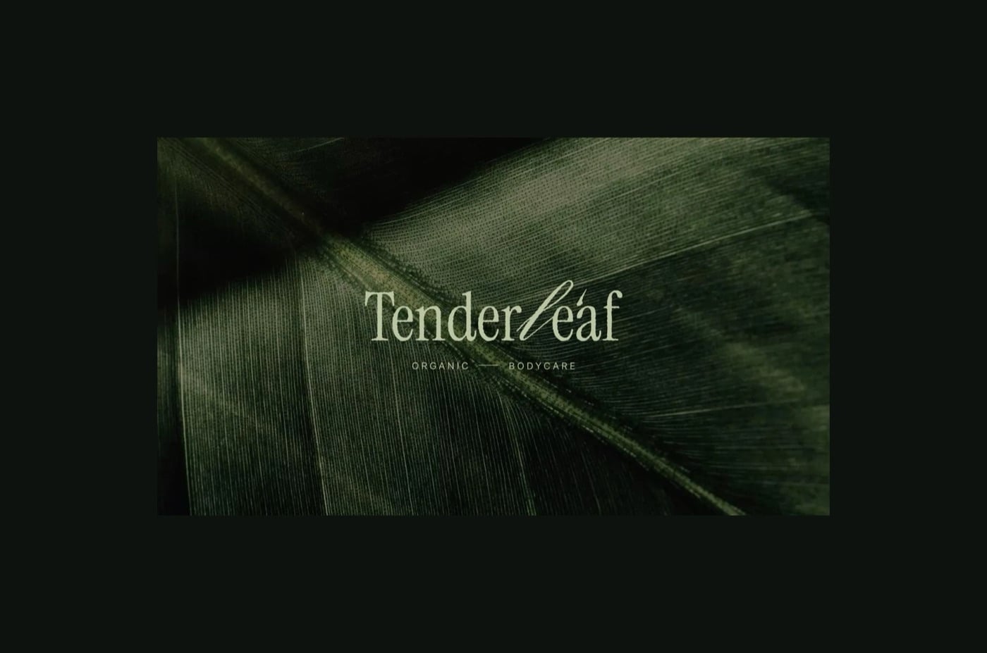 Logo chữ Tenderleaf màu xám bạc kiểu serif hẹp, cụm le viết bằng nét script, đặt trên nền lá cây xanh rêu tối