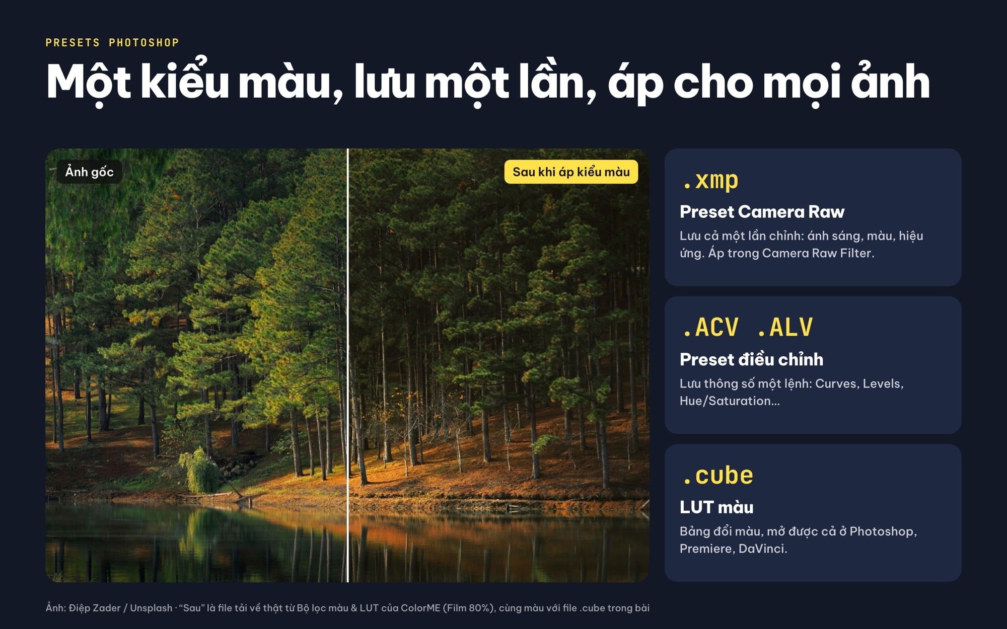 Ba loại preset Photoshop: Camera Raw .xmp, preset điều chỉnh .ACV .ALV và LUT .cube, kèm ảnh rừng thông trước và sau khi áp màu