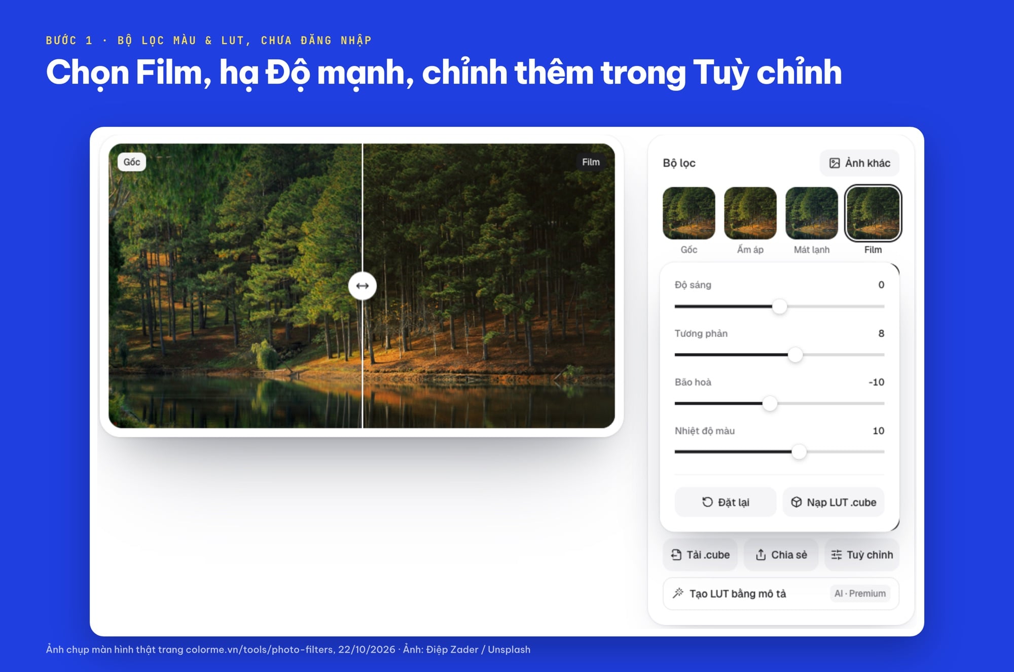 Trang Bộ lọc màu và LUT của ColorME với bộ lọc Film và các thanh Tuỳ chỉnh trên ảnh rừng thông