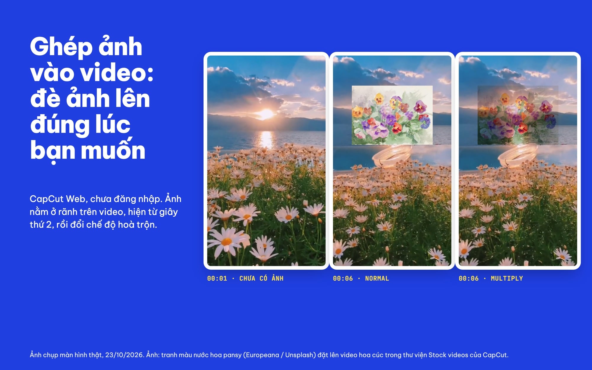 Ghép ảnh vào video bằng CapCut Web