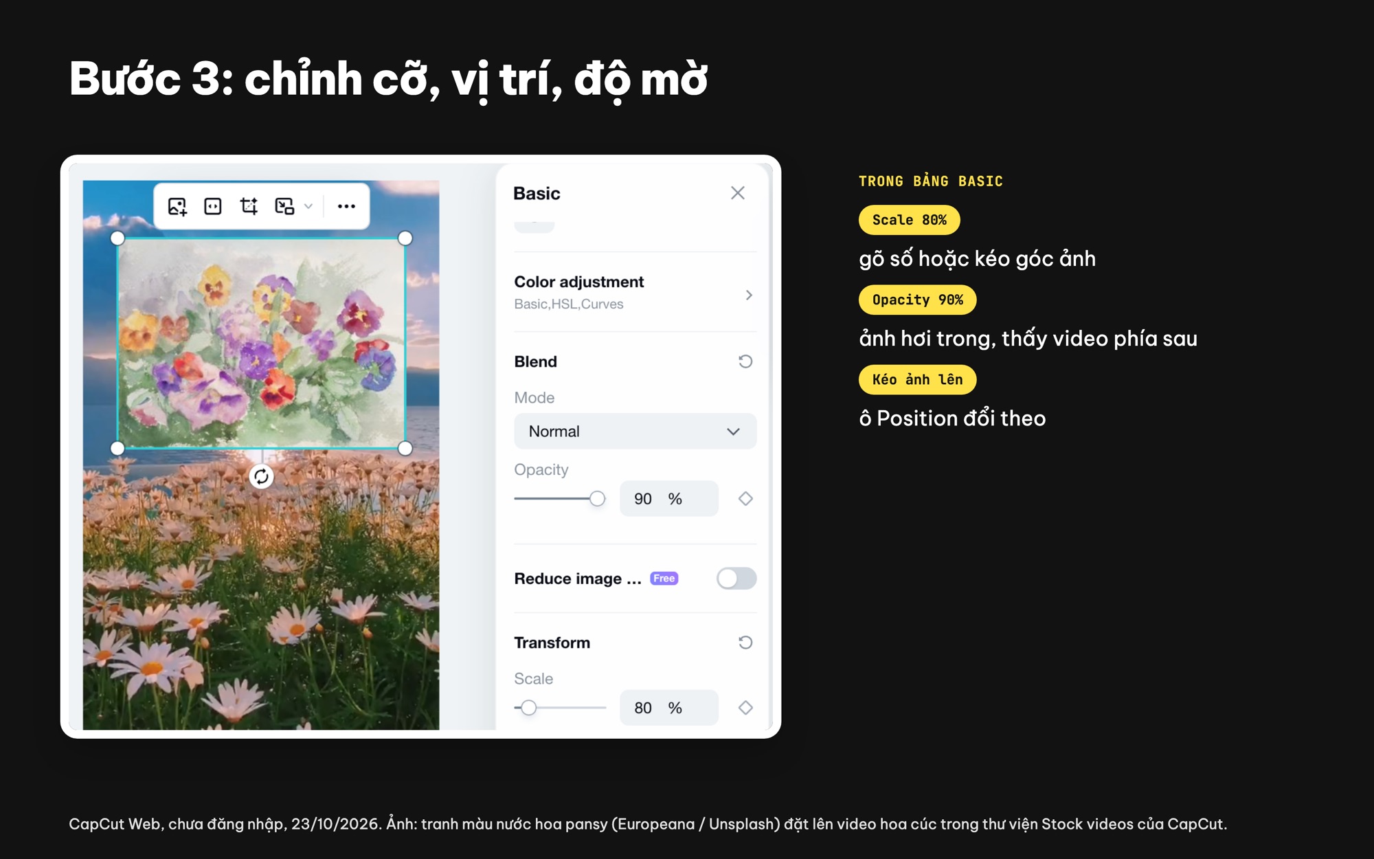 Chỉnh cỡ, vị trí, độ mờ ảnh overlay trong CapCut