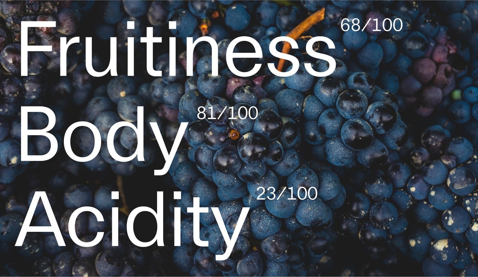 Ba dòng chữ trắng Fruitiness 68/100, Body 81/100, Acidity 23/100 đặt trên nền ảnh chùm nho tím sẫm