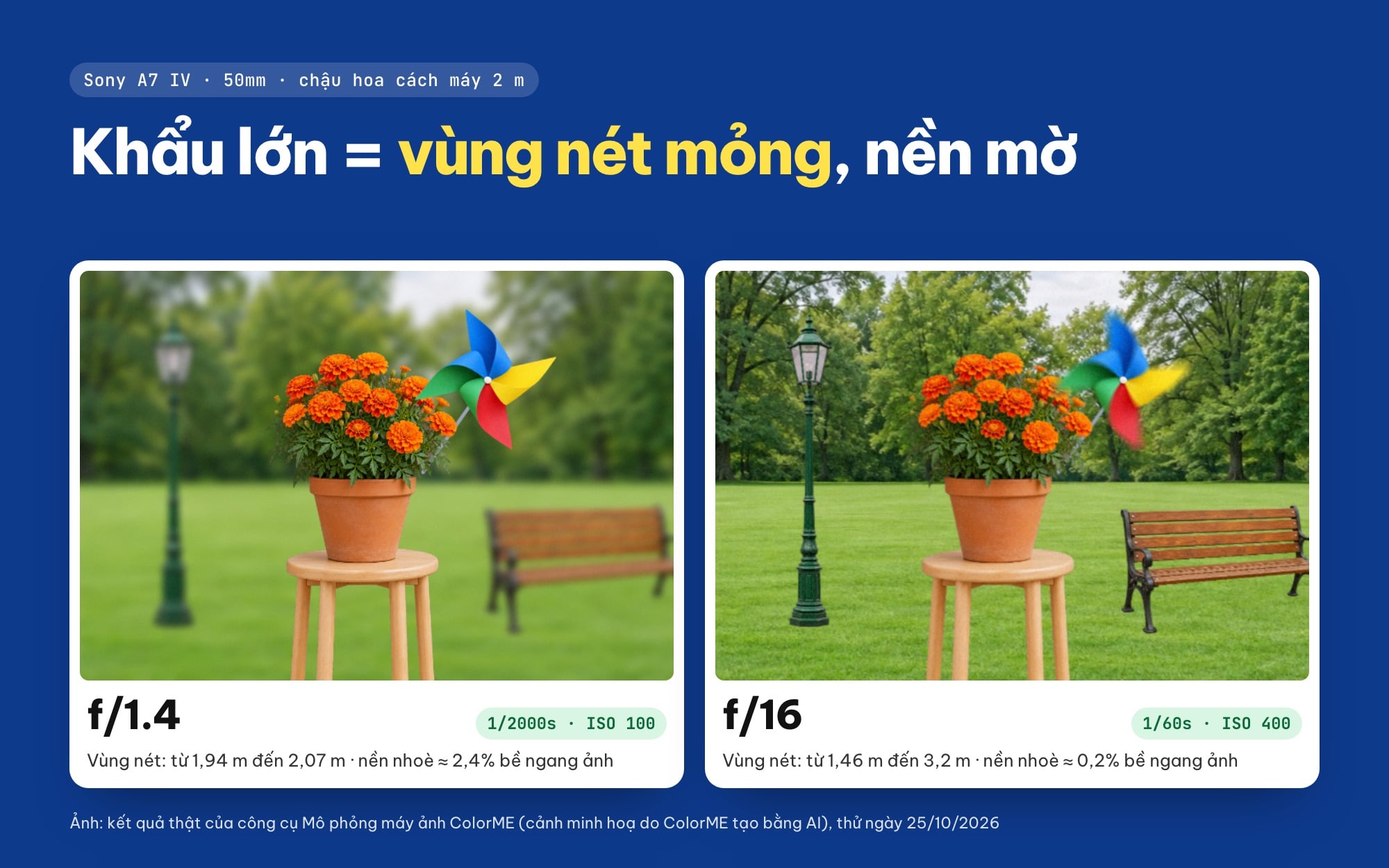 Khẩu độ và xoá phông: so sánh vùng nét ở f/1.4 và f/16