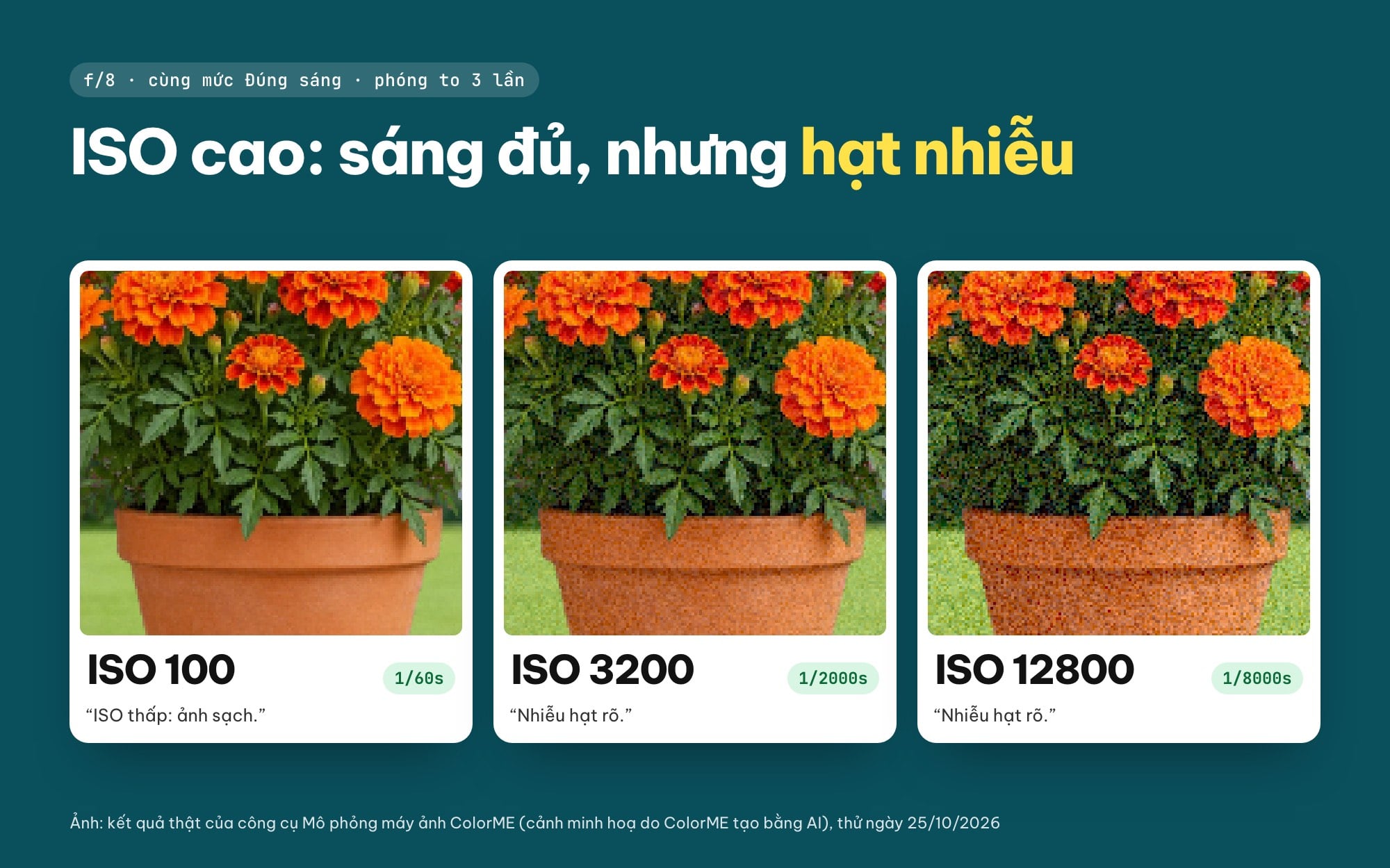 ISO là gì: so sánh nhiễu hạt ở ISO 100, ISO 3200 và ISO 12800