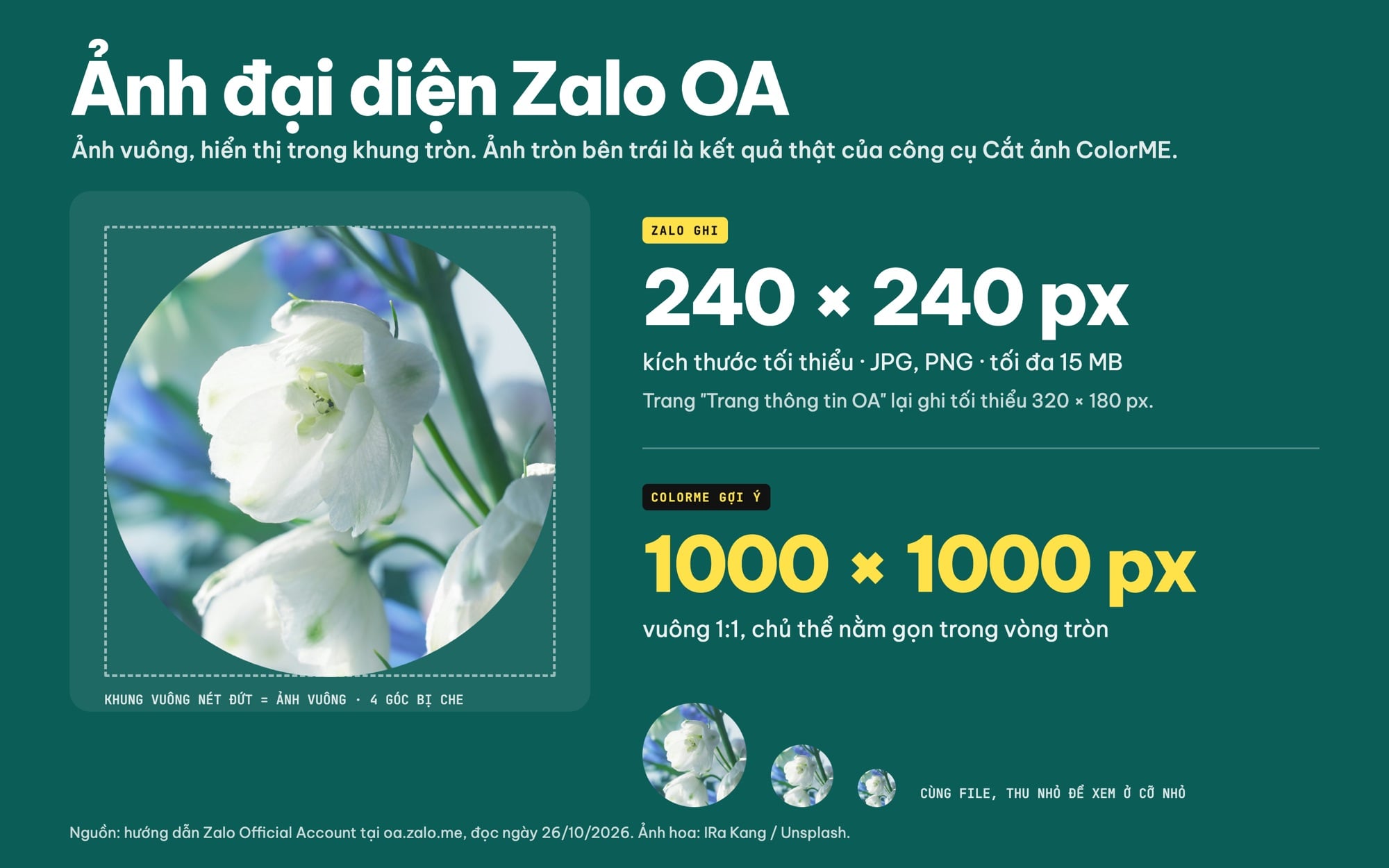 Kích thước ảnh đại diện Zalo OA 240x240 và gợi ý 1000x1000 khung tròn
