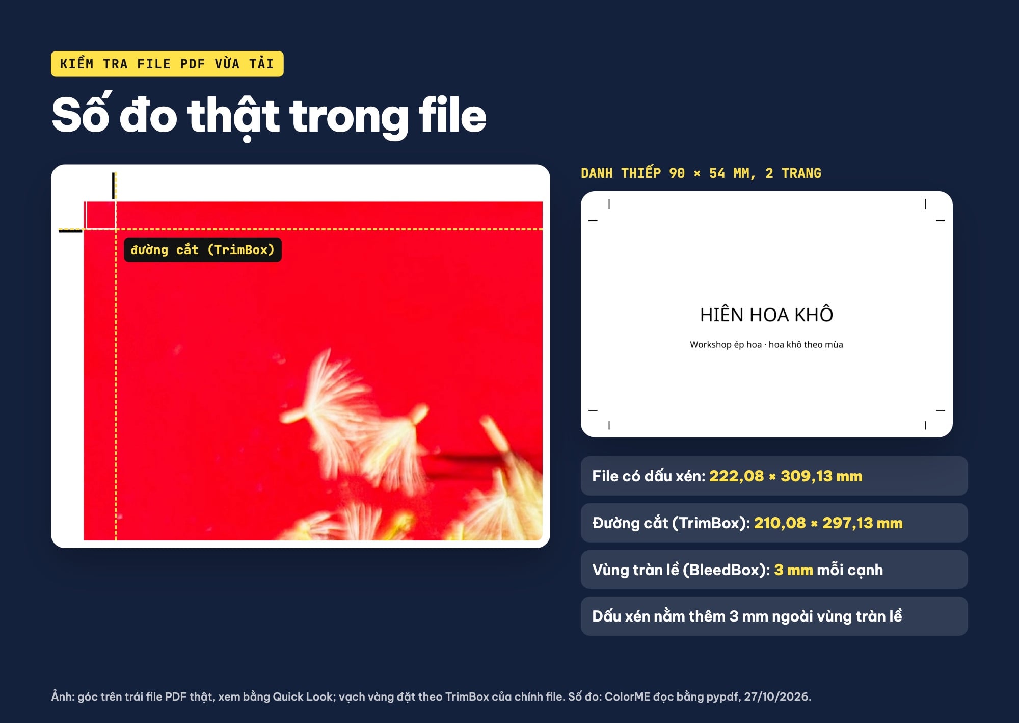 Kích thước file PDF in từ Canva: đường cắt, tràn lề 3 mm, dấu xén