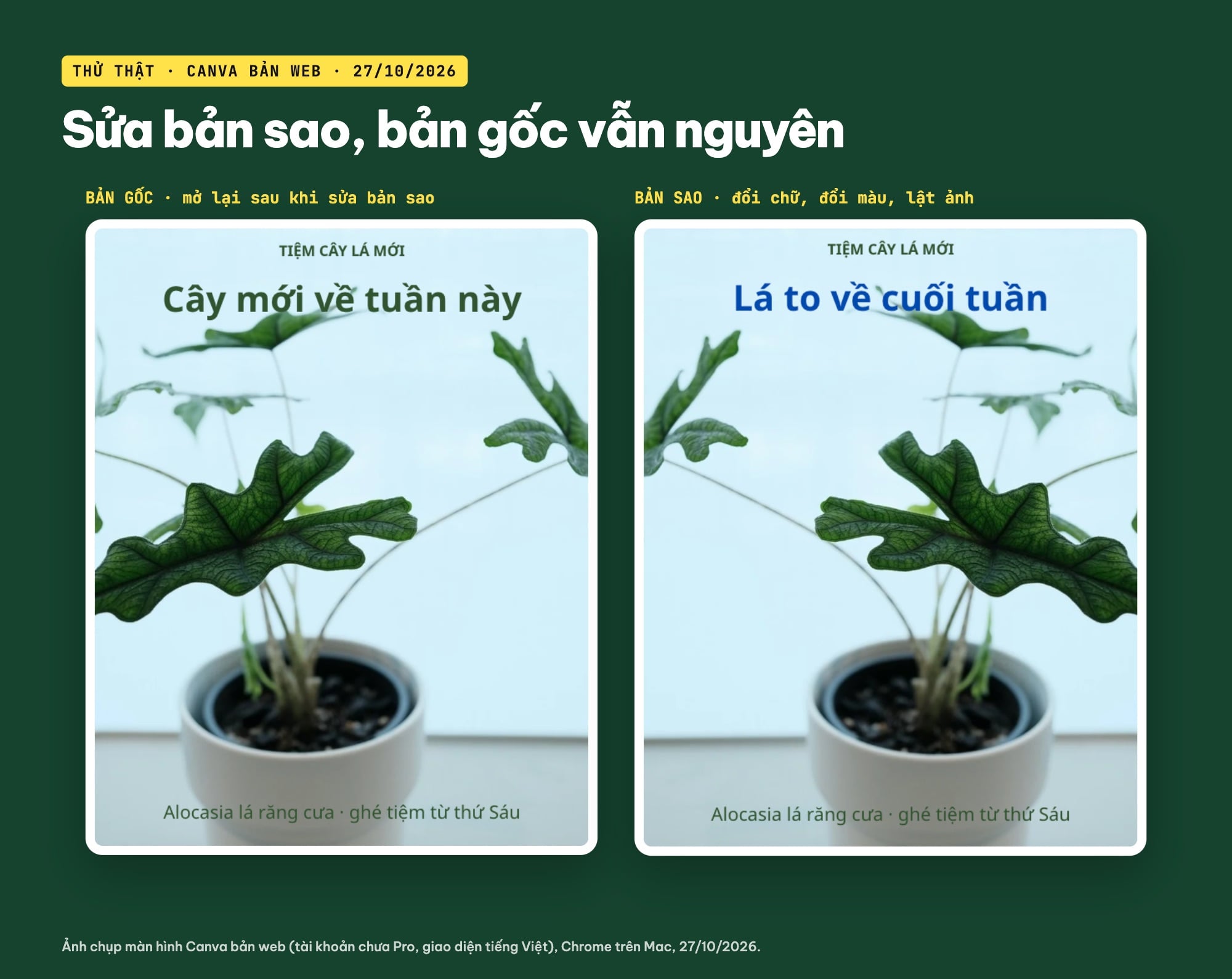 Tạo bản sao Canva: bản gốc và bản sao đã sửa đặt cạnh nhau