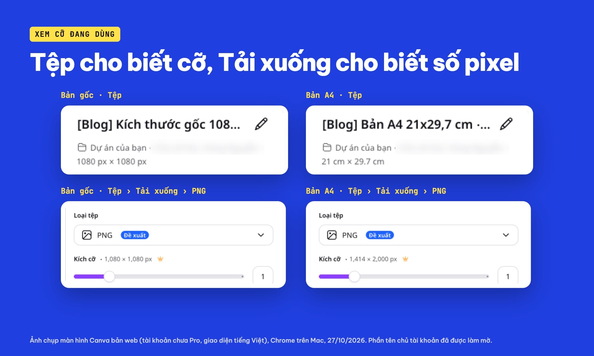Xem kích thước thiết kế Canva trong menu Tệp và bảng Tải xuống