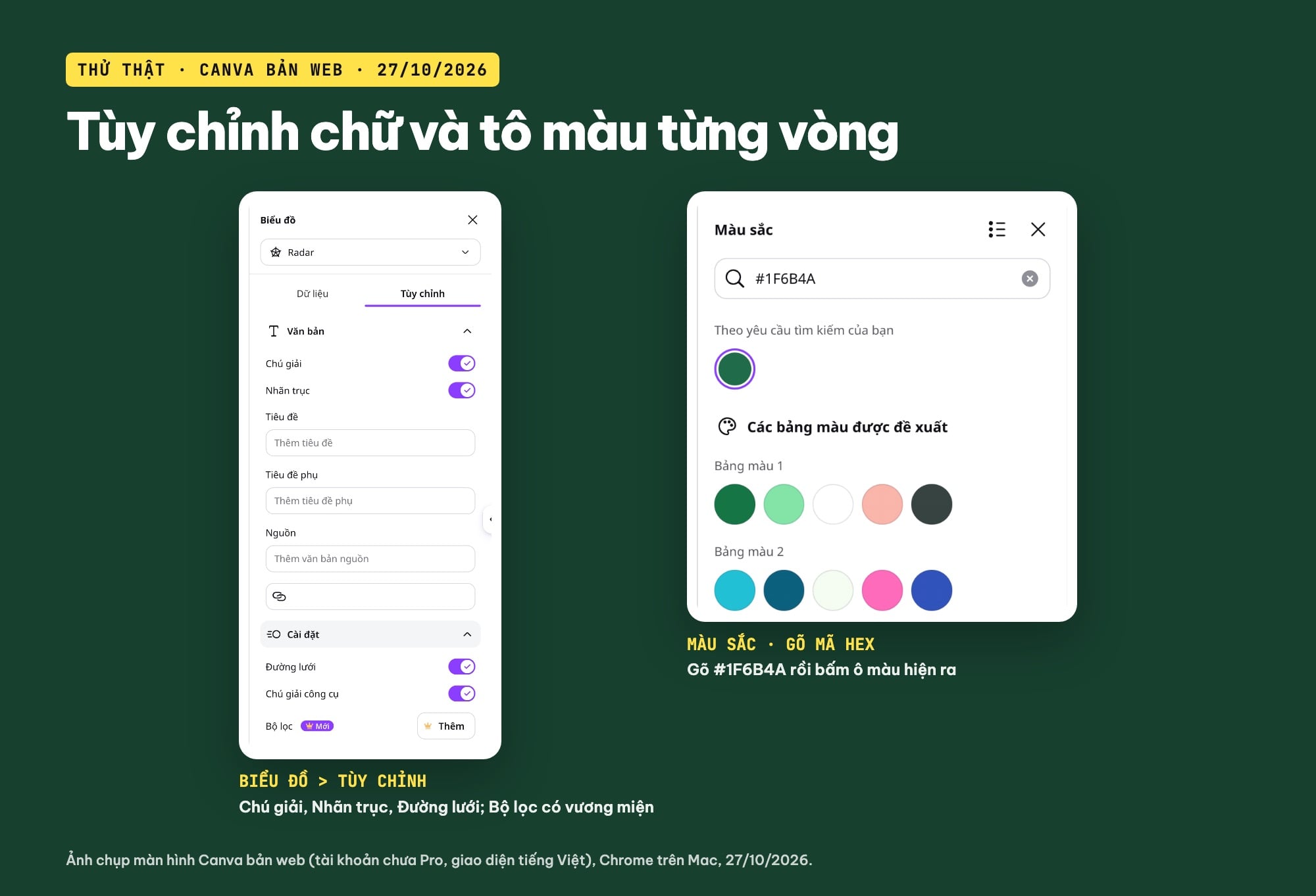 Tùy chỉnh chữ và màu biểu đồ radar trên Canva
