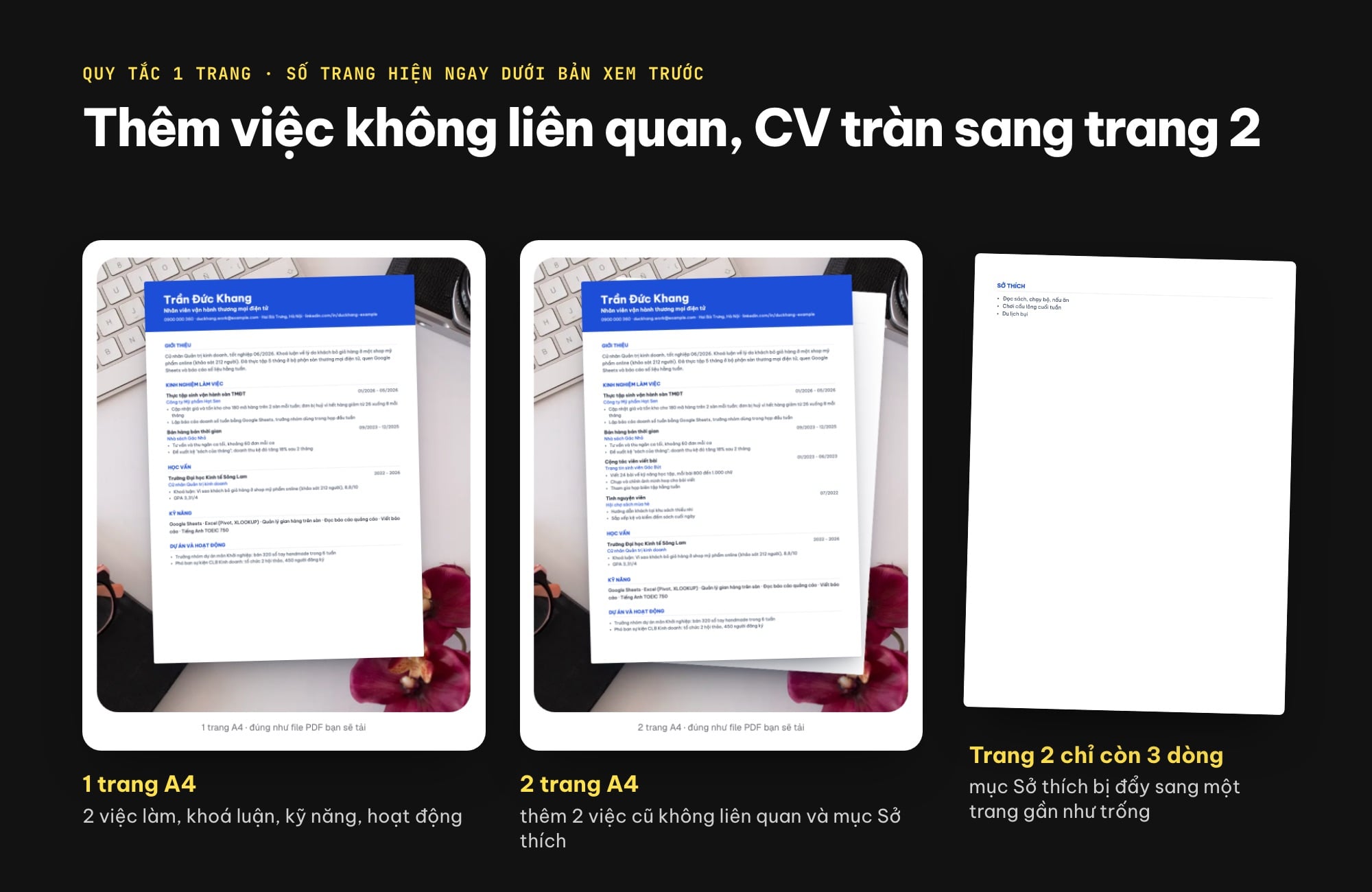 CV một trang A4 và CV tràn sang trang hai trong công cụ Tạo CV