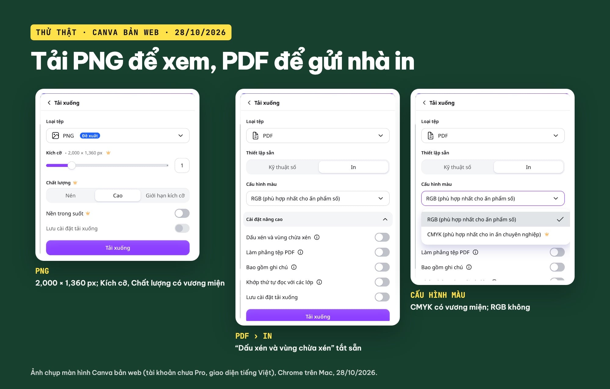 Tải bìa sách Canva dạng PDF in
