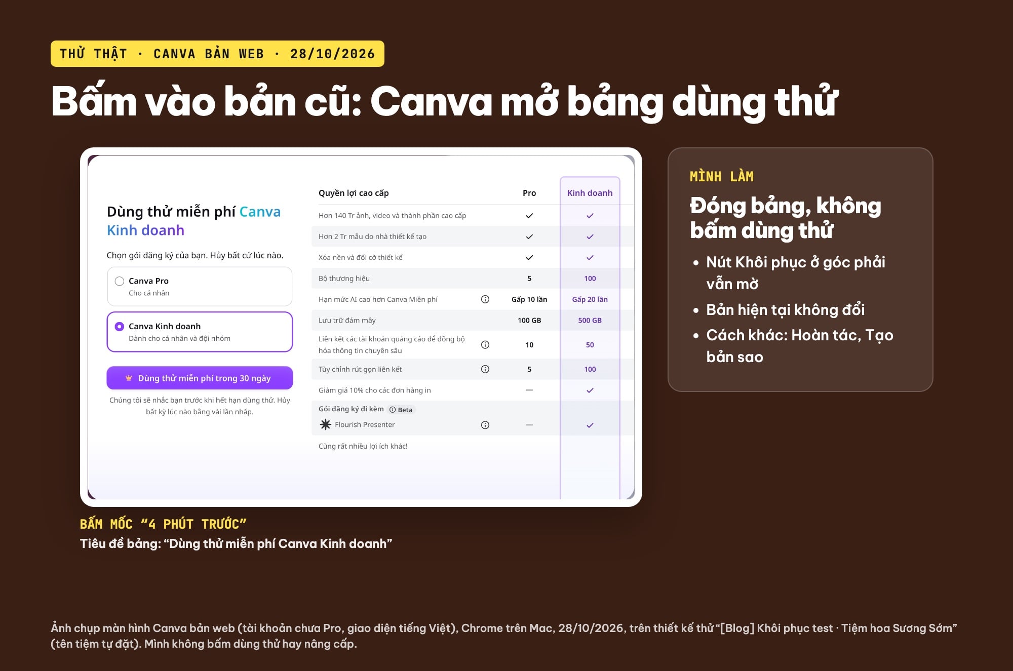 Lịch sử phiên bản Canva với tài khoản chưa Pro