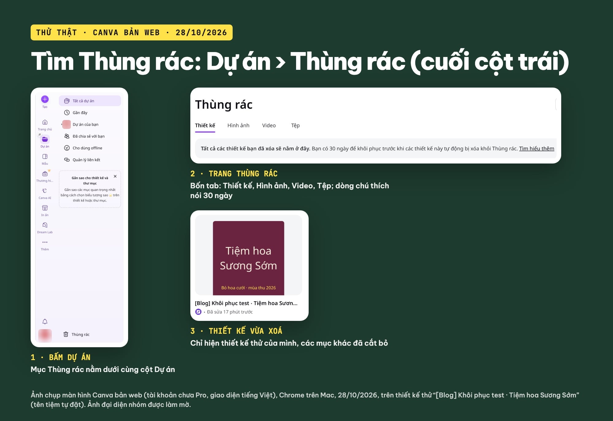 Thùng rác Canva ở đâu