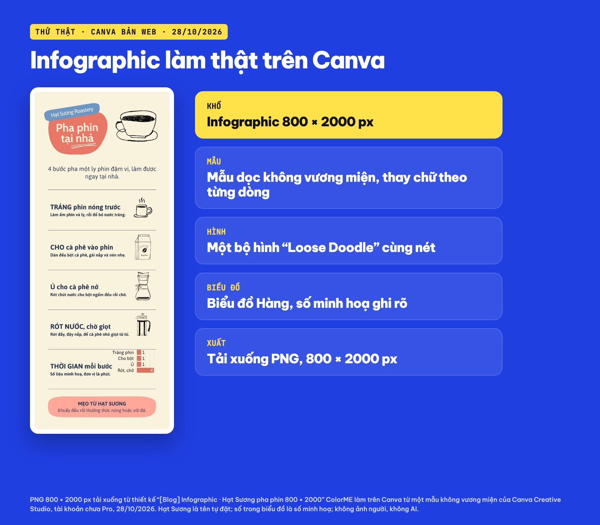Infographic làm trên Canva từ mẫu đến PNG