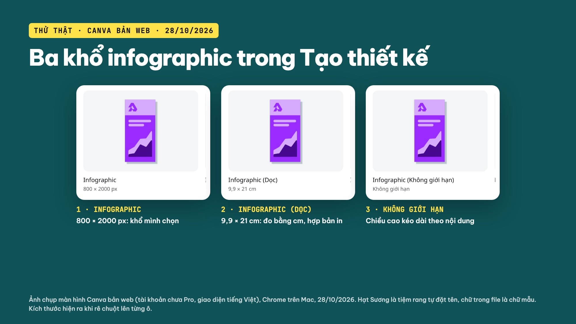 Kích thước infographic trên Canva 800 x 2000 px